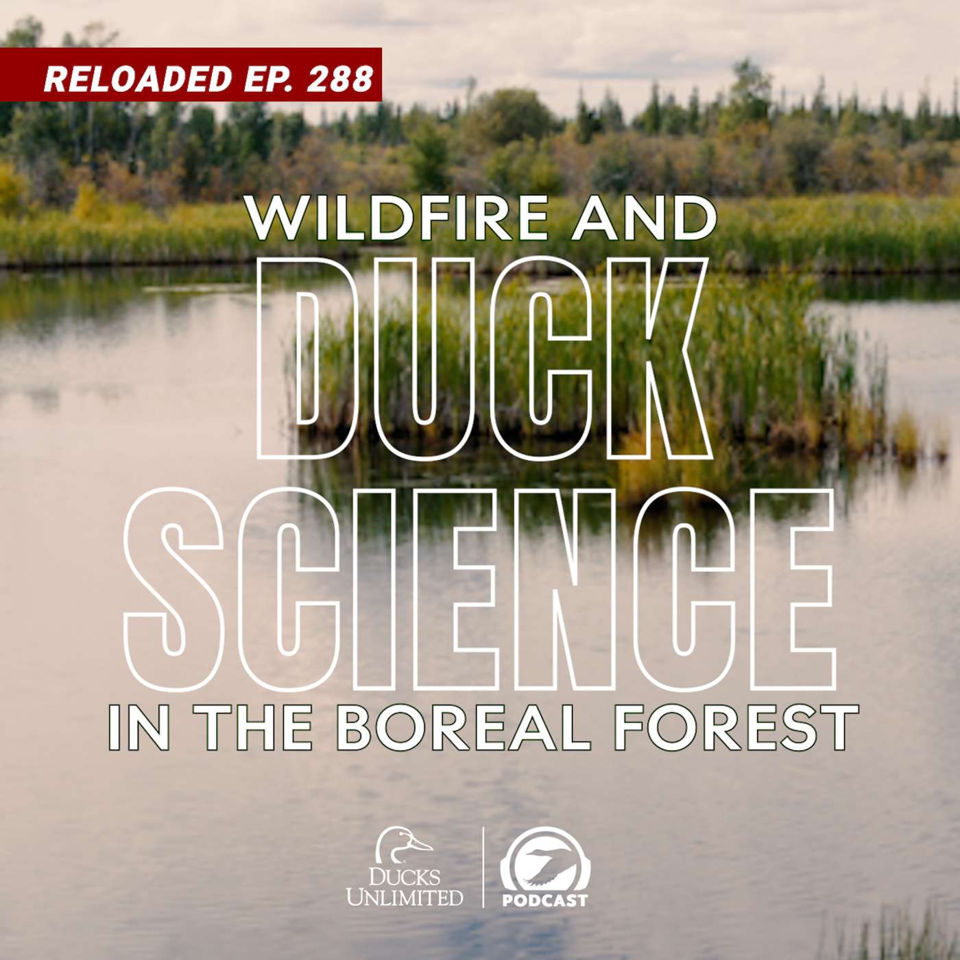 RELOADED EP288 | Wildfire & Duck Science in the Boreal Forest