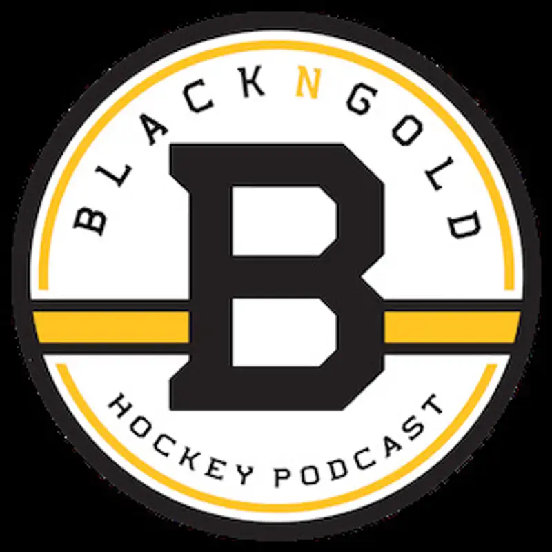 Bonus Black N' Gold Hockey Podcast: Post 2021 NHL Trade Deadline Round-Table