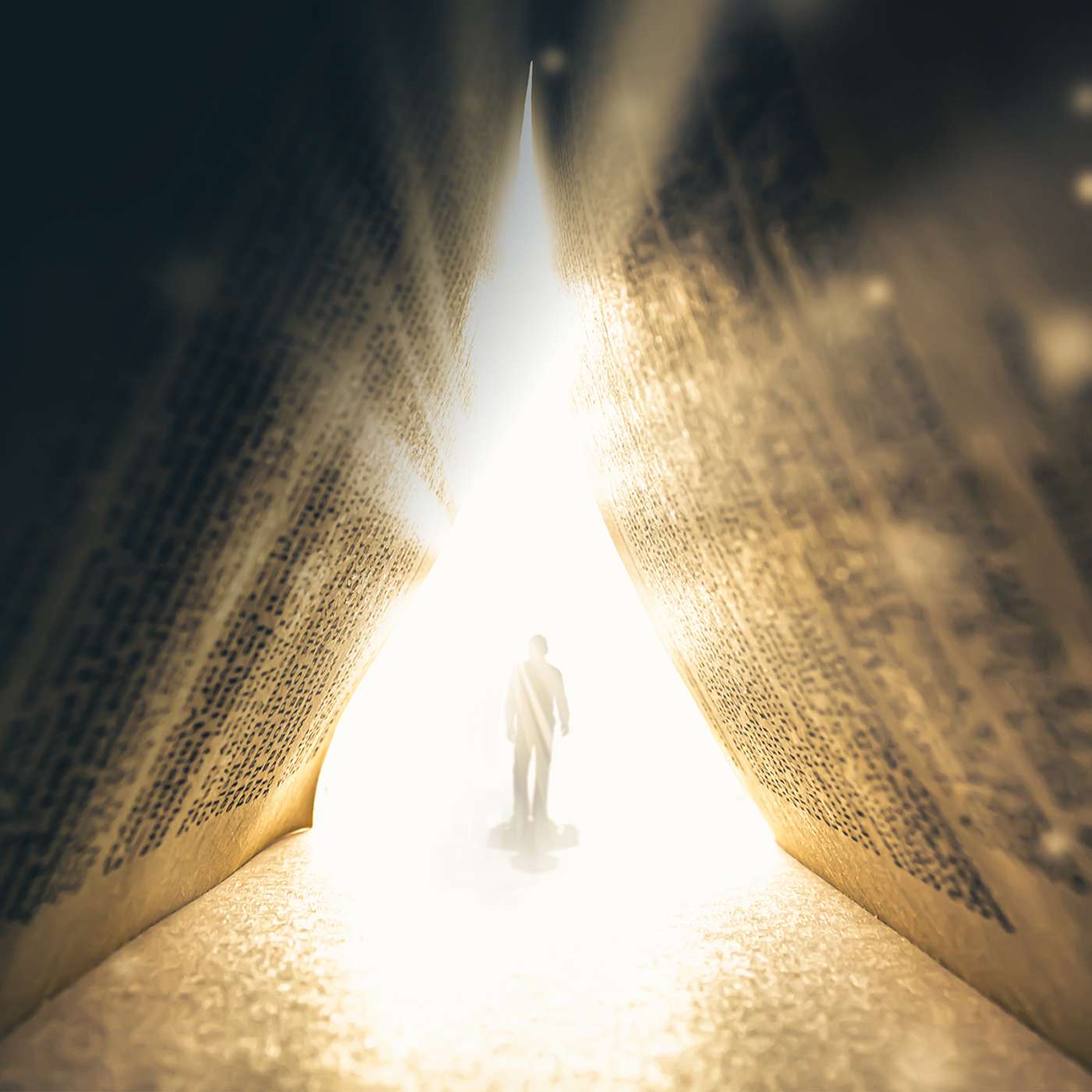 Portada de Discernir