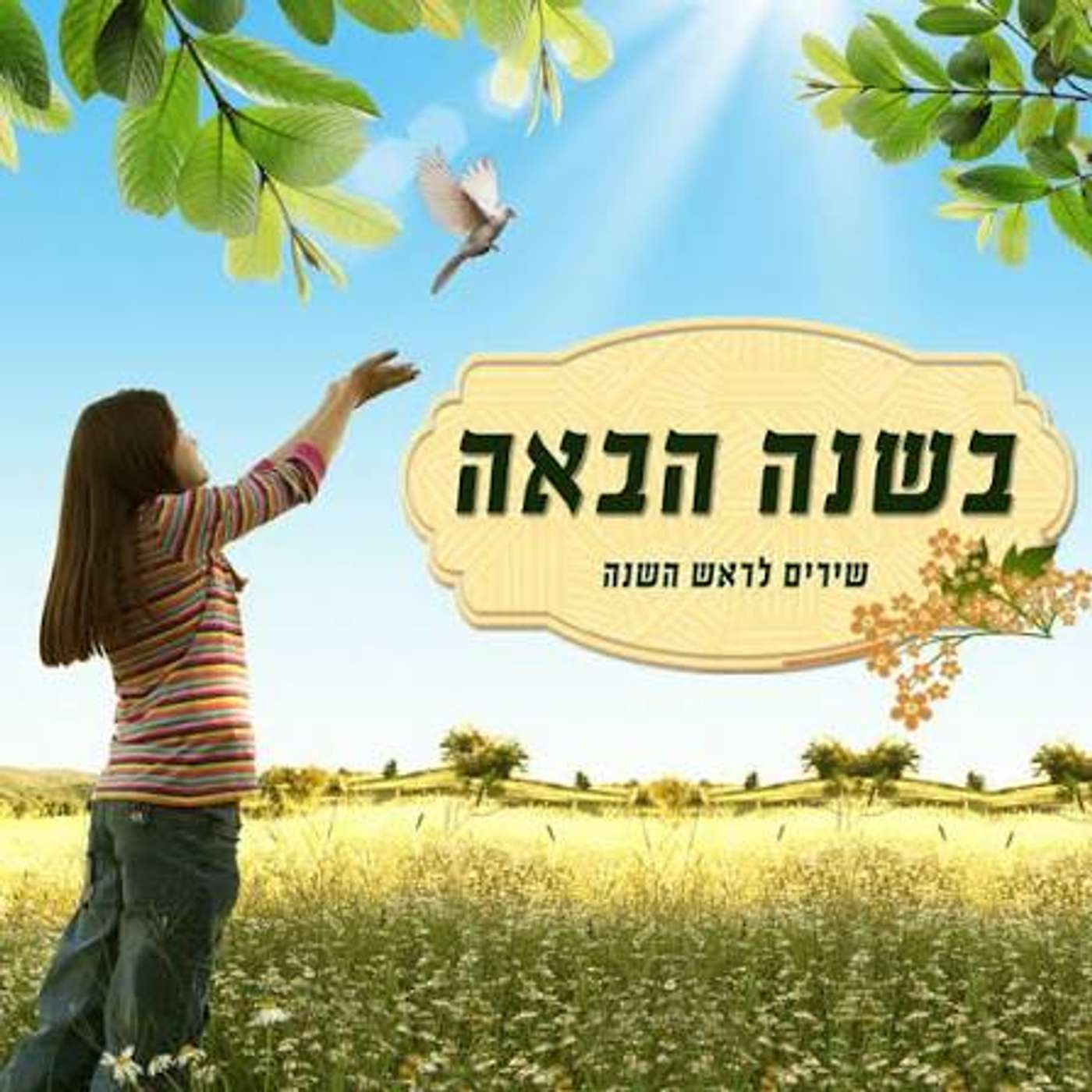 שדרני ו משתפים בטיפים שלהם לשנה מוצלחת בכיתה ו episode artwork
