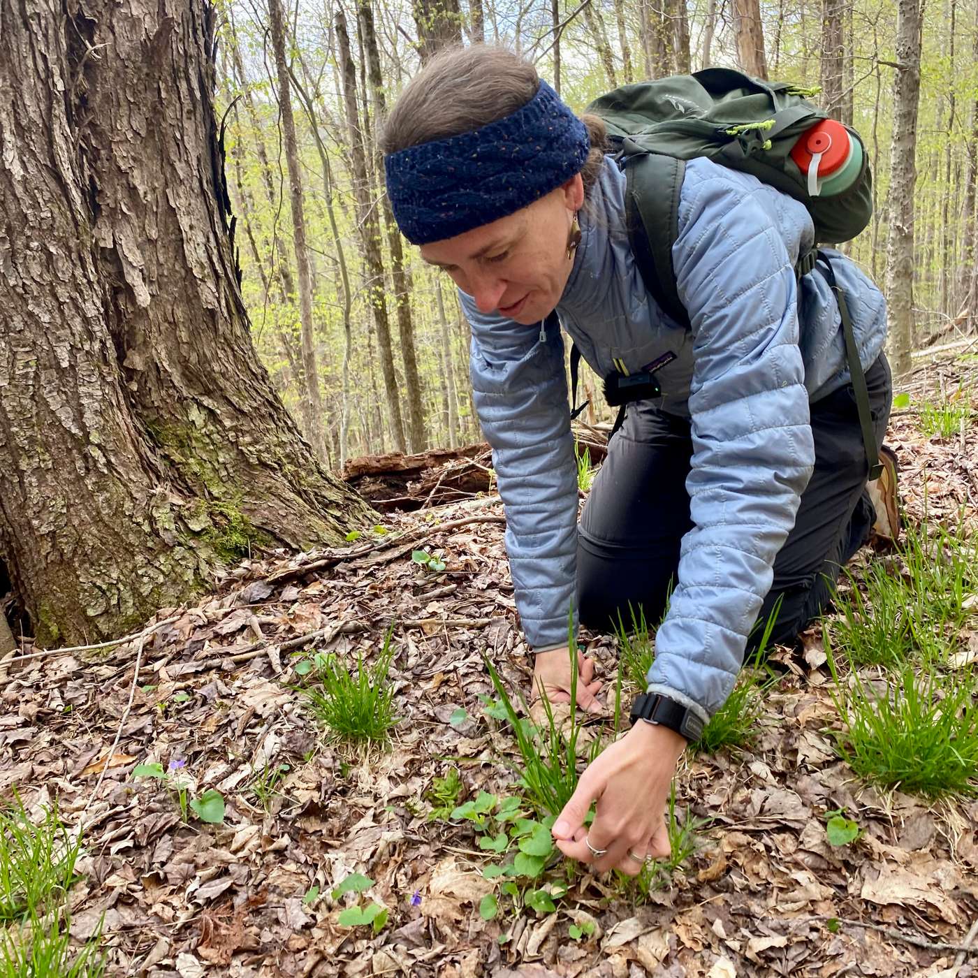 Heather Houskeeper, the Botanical Hiker: Plants, Trails, and Belonging Heather Houskeeper, the Botanical Hiker: Plants, Trails, and Belonging