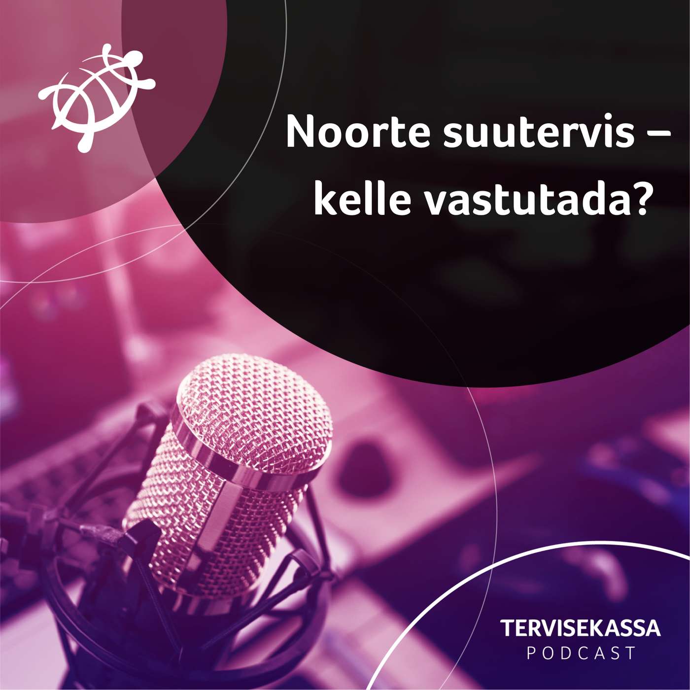 #53 Noorte suutervis – kelle vastutada?