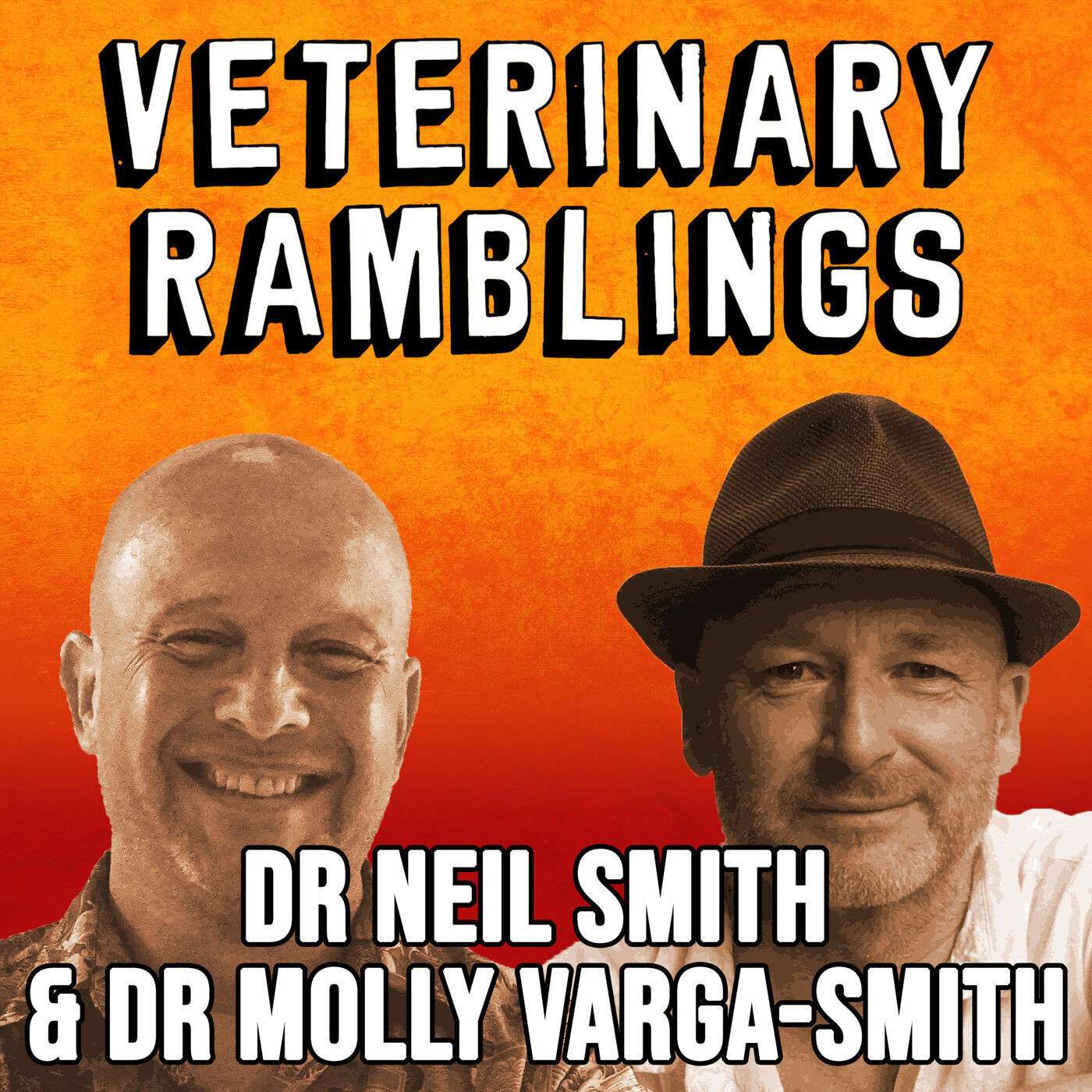 Ep 29: "Twice The Chat Is Twice The Fun" With Dr Neil Smith & Dr Molly Varga-Smith episode artwork
