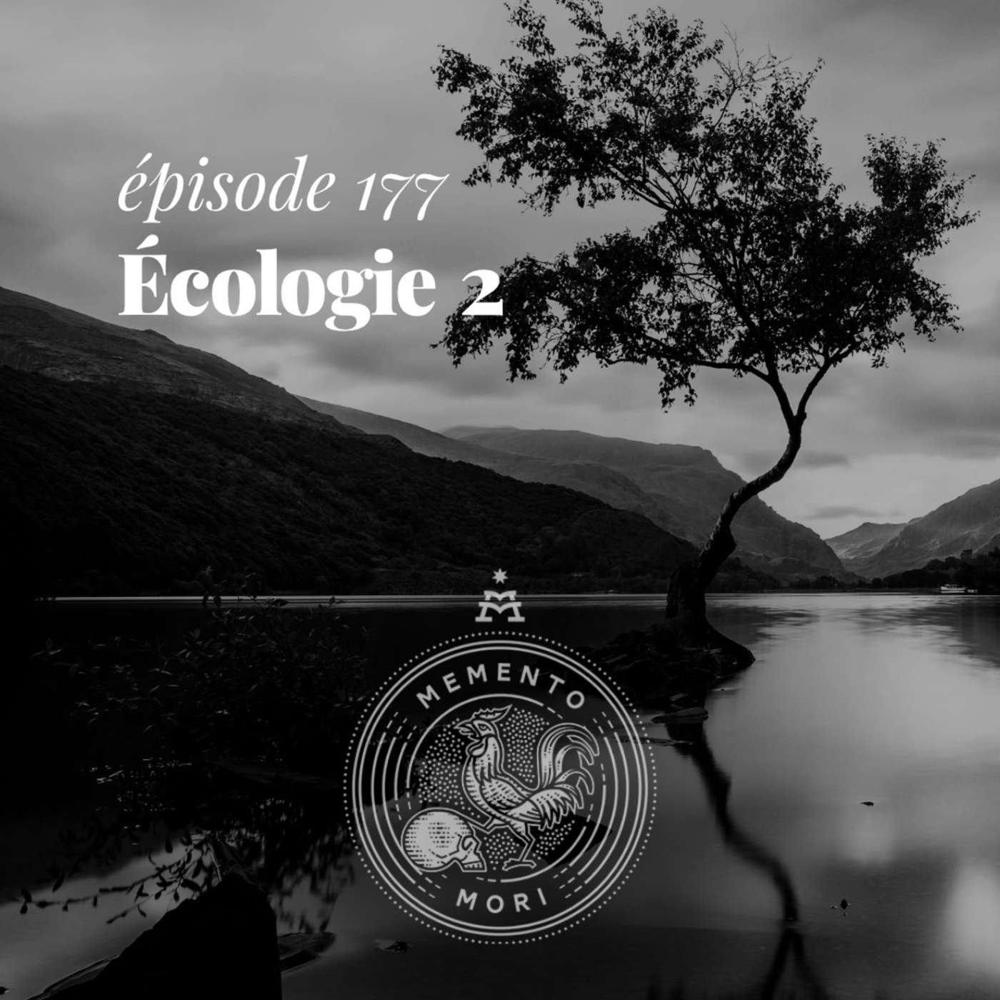 MM177: Quelles différences entre l’écologie chrétienne et l’écologie du monde?