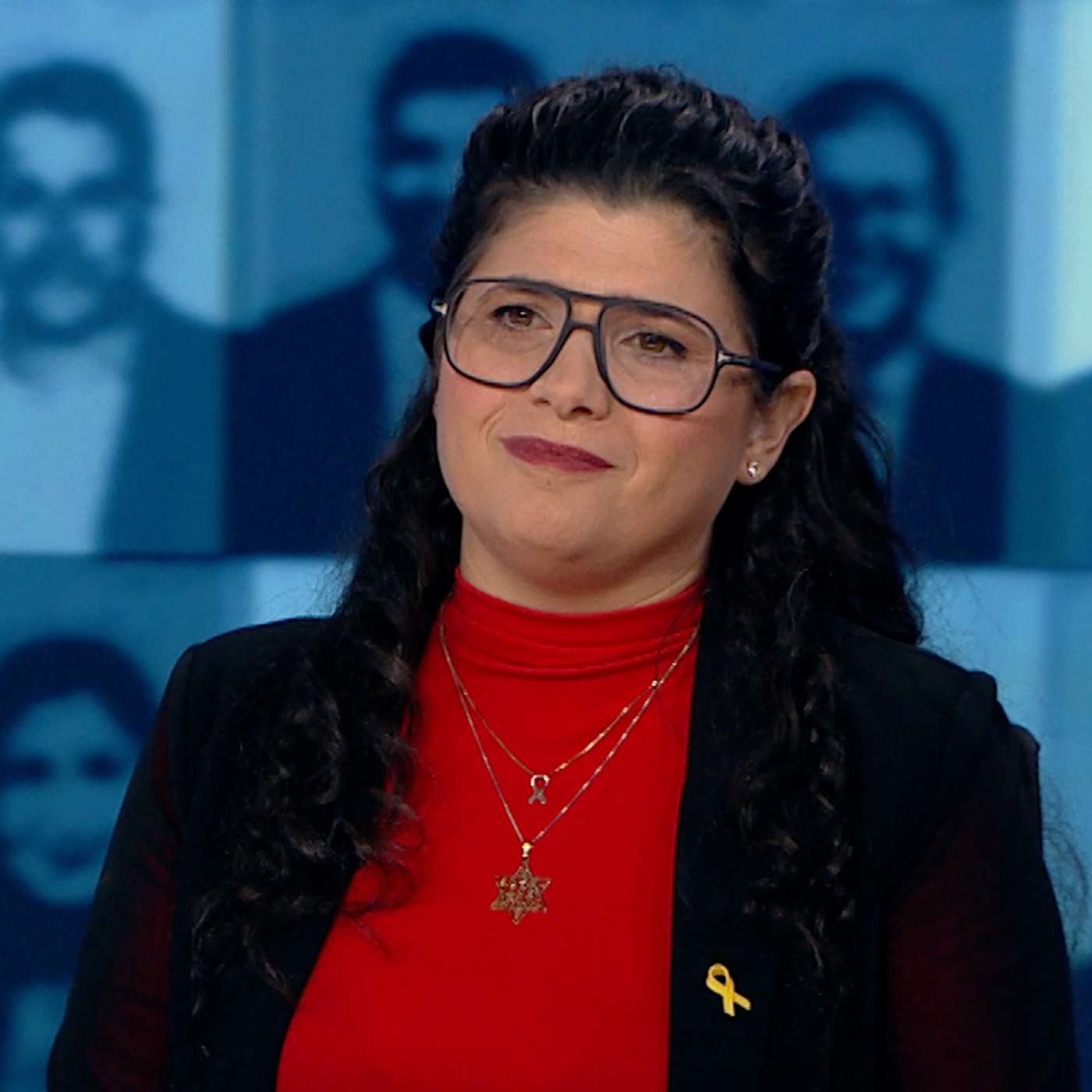 ח"כ שרן השכל