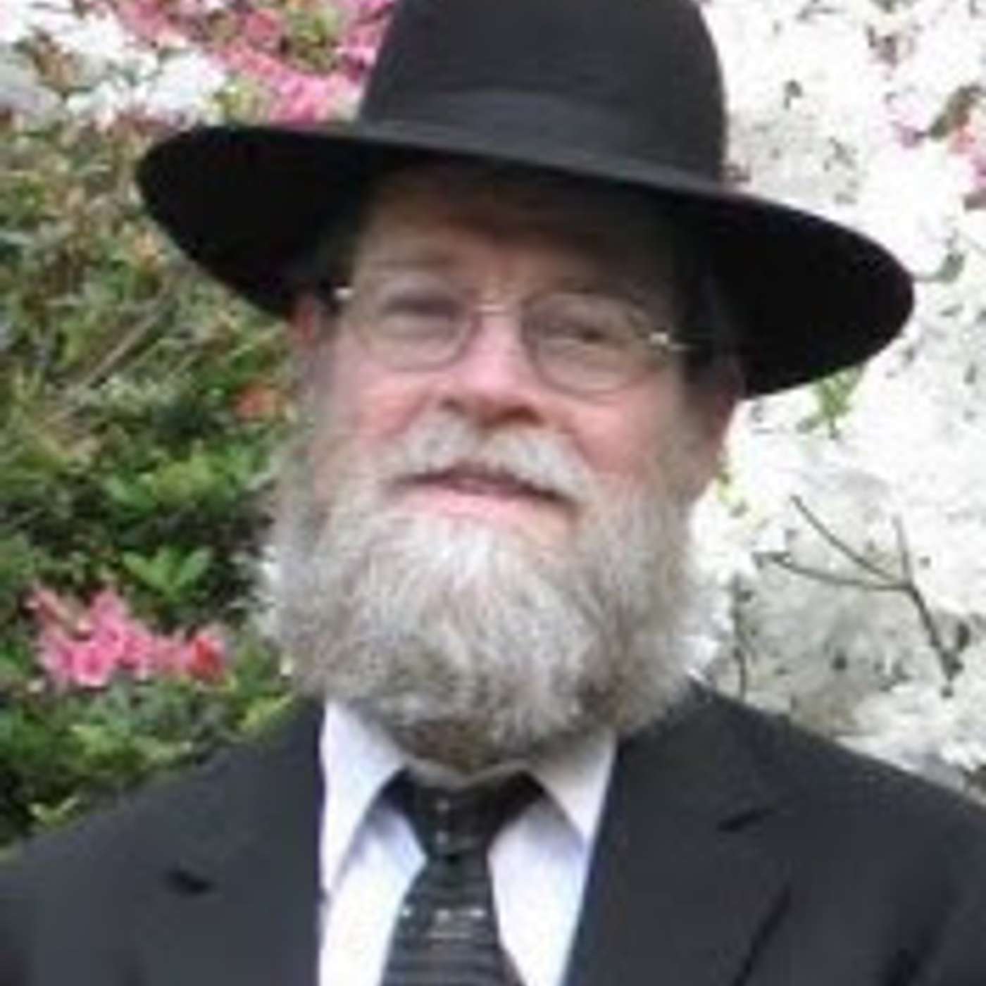 Rav Reingolds Chasanim Series: 6