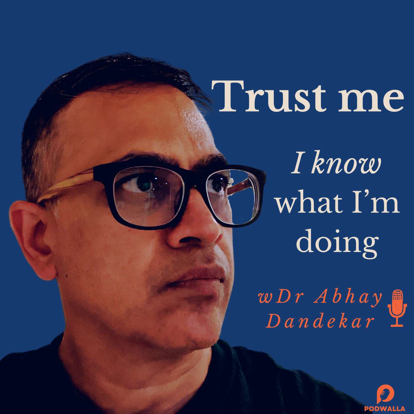 TRUST ME I KNOW WHAT I'm DOING cover