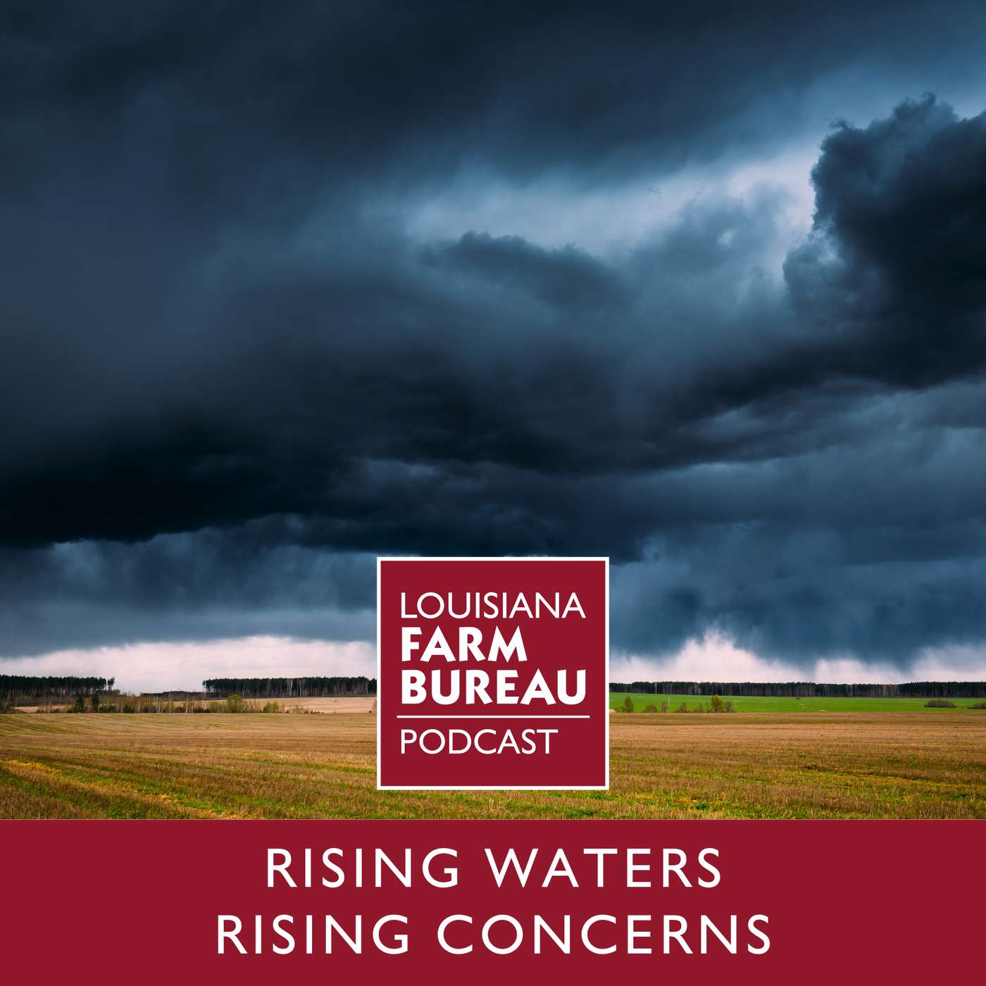 Rising Waters, Rising Concerns with Jay Grymes Rising Waters, Rising Concerns with Jay Grymes
