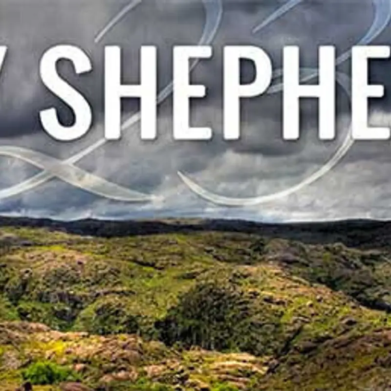 God's Help for Apprehensive Sheep (Audio)