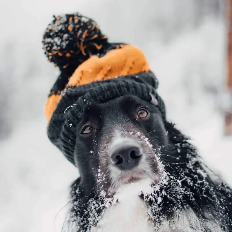 Como falar sobre o frio em inglês!