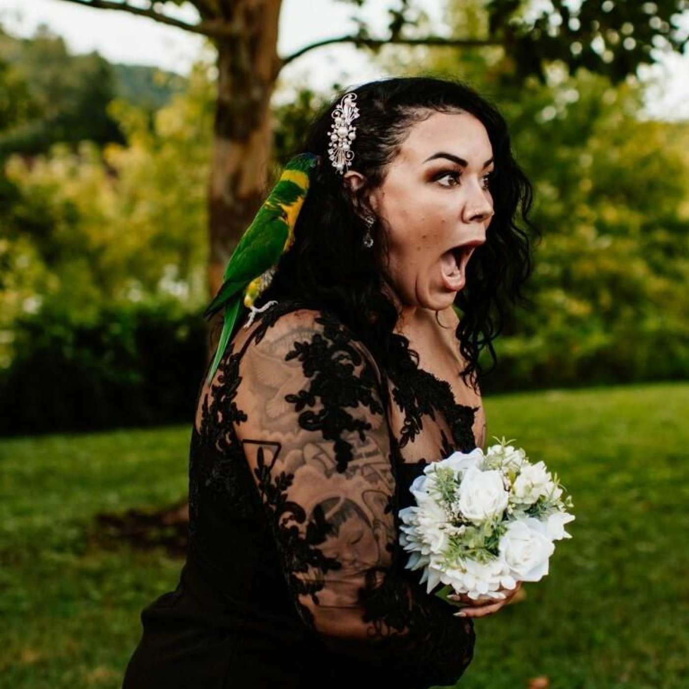 A farewell to Riverfest and a bird crashes a wedding episode artwork