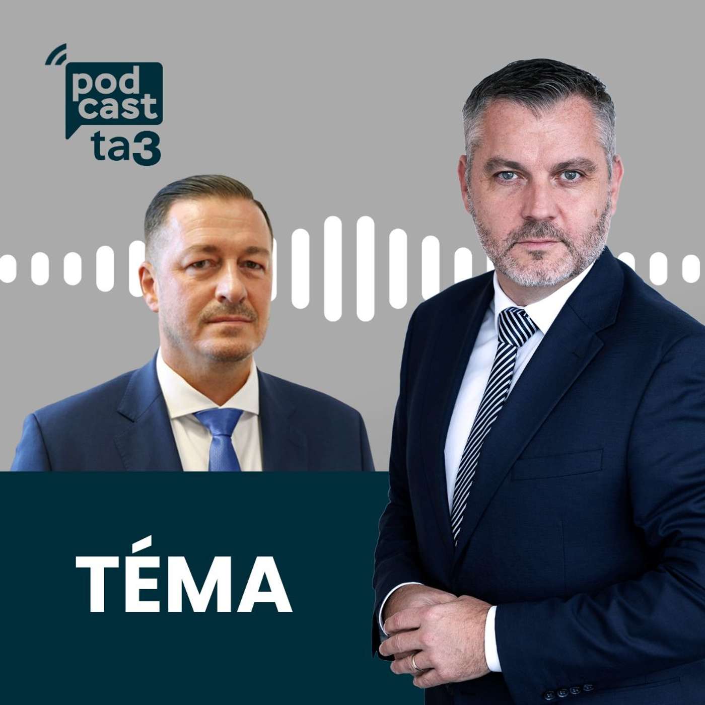 Téma: Štát sprísňuje kontroly pre konsolidáciu episode artwork