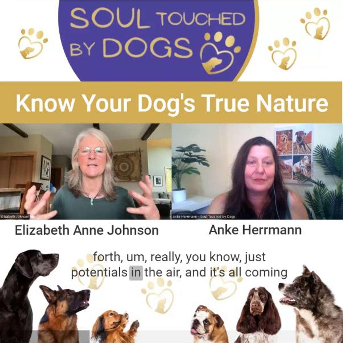 Soul Touched by Dogs