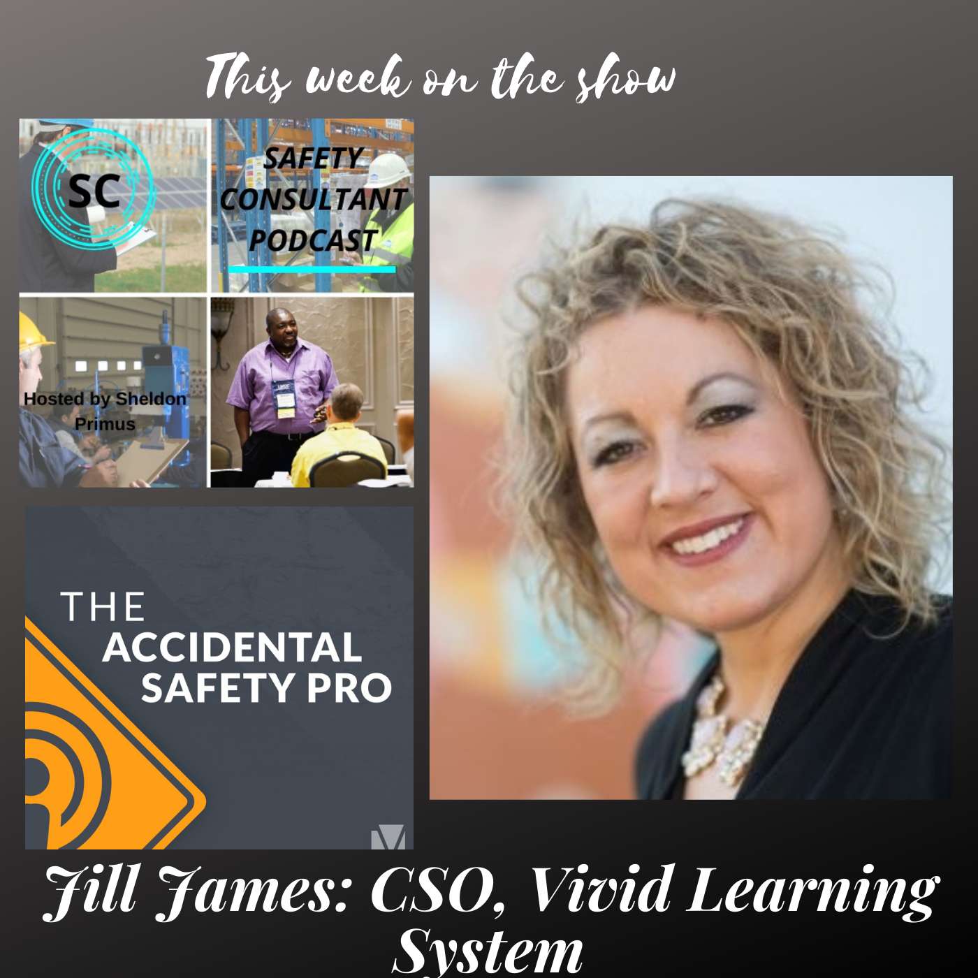 Jill James, Chief Safety Officer  Vivid Learning System