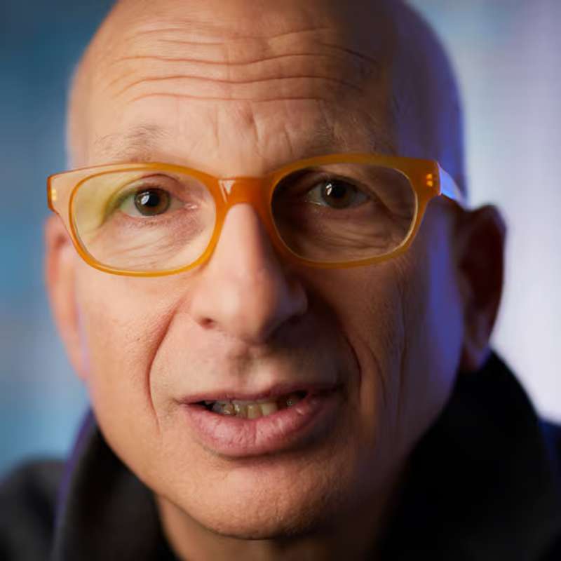 seth godin