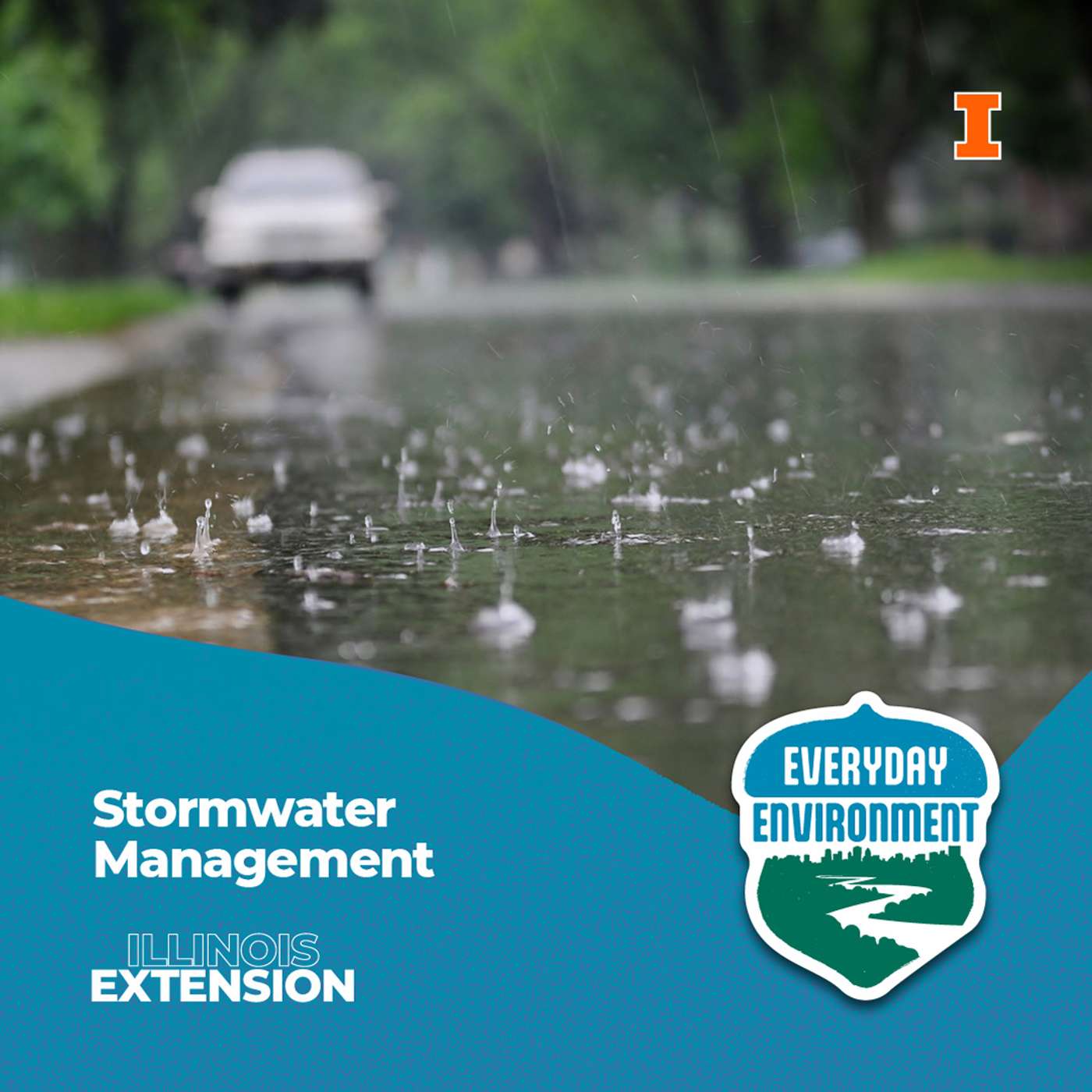 Everyday Environment Podcast