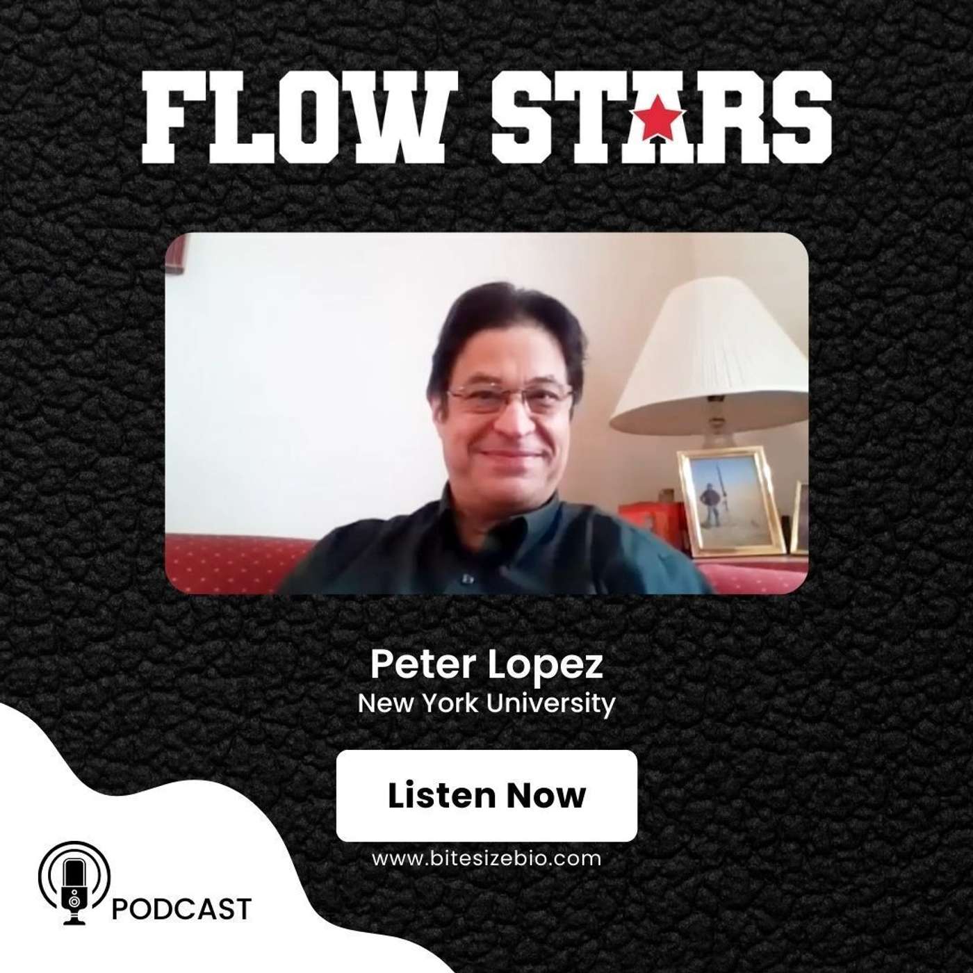 Peter Lopez (New York University) Peter Lopez (New York University)