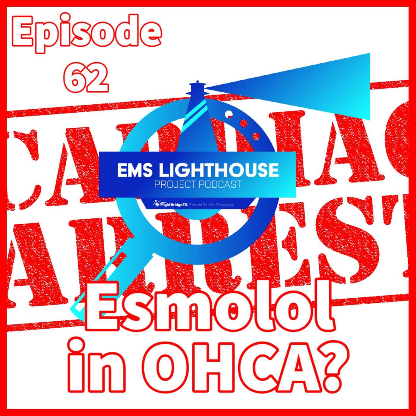 The EMS Lighthouse Project