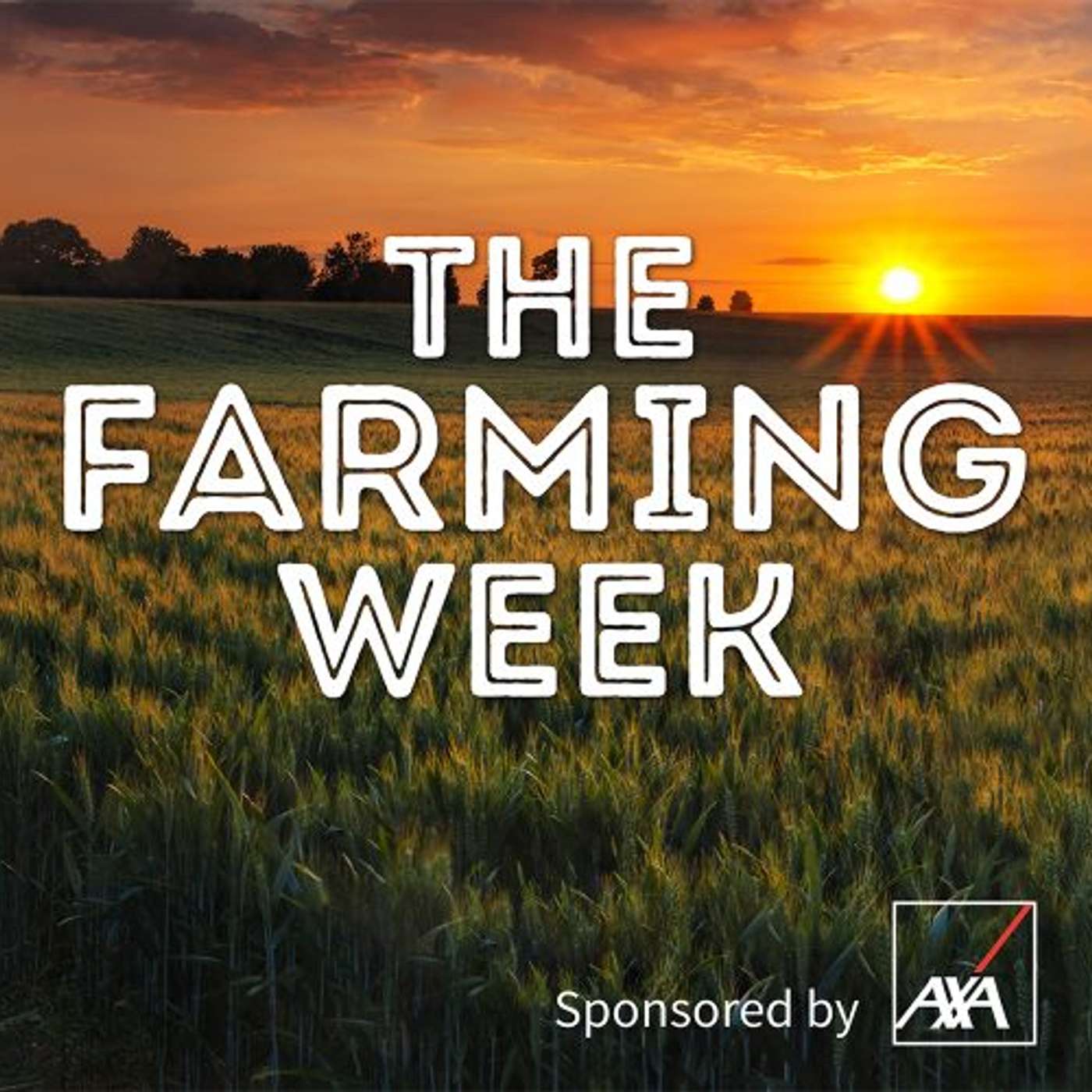 The Farming Week: Budget 2026, bird flu in NI, and Mercosur safeguards