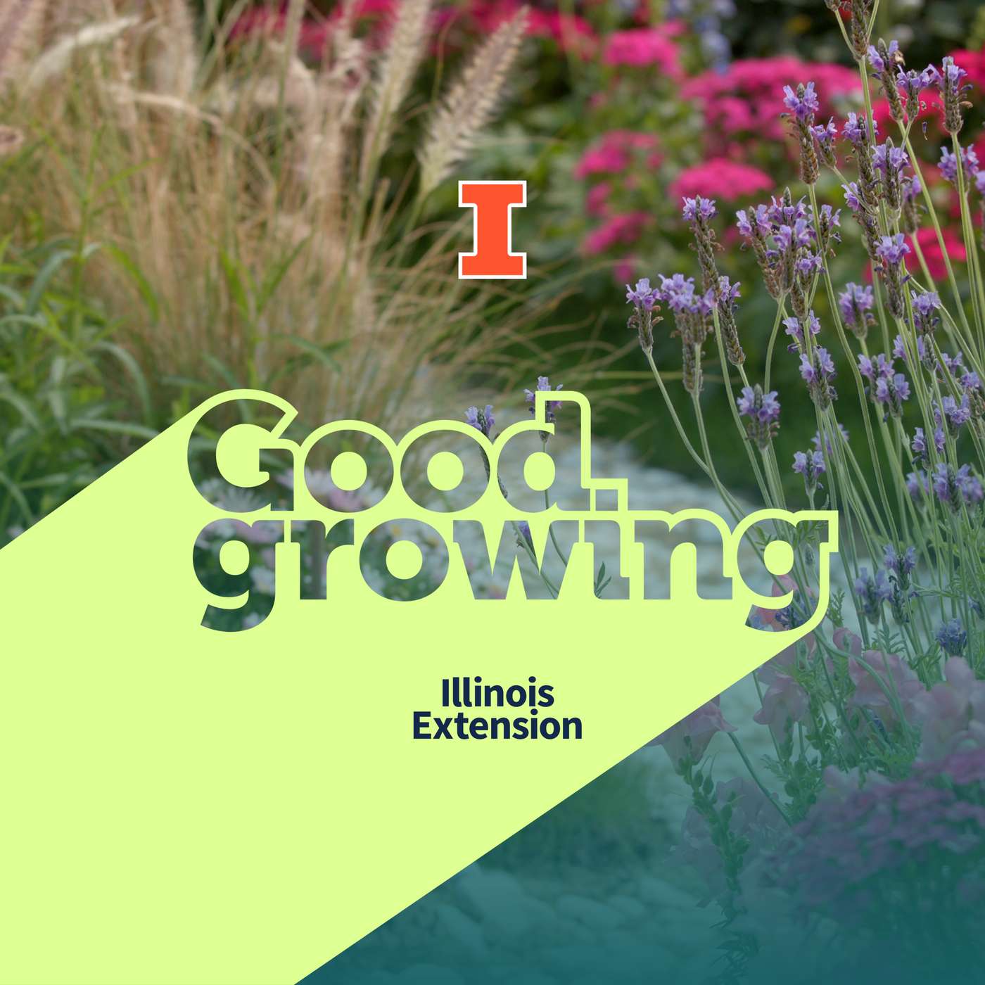 Ep. 267 Growing on rocks: Exploring gravel gardens | #GoodGrowing