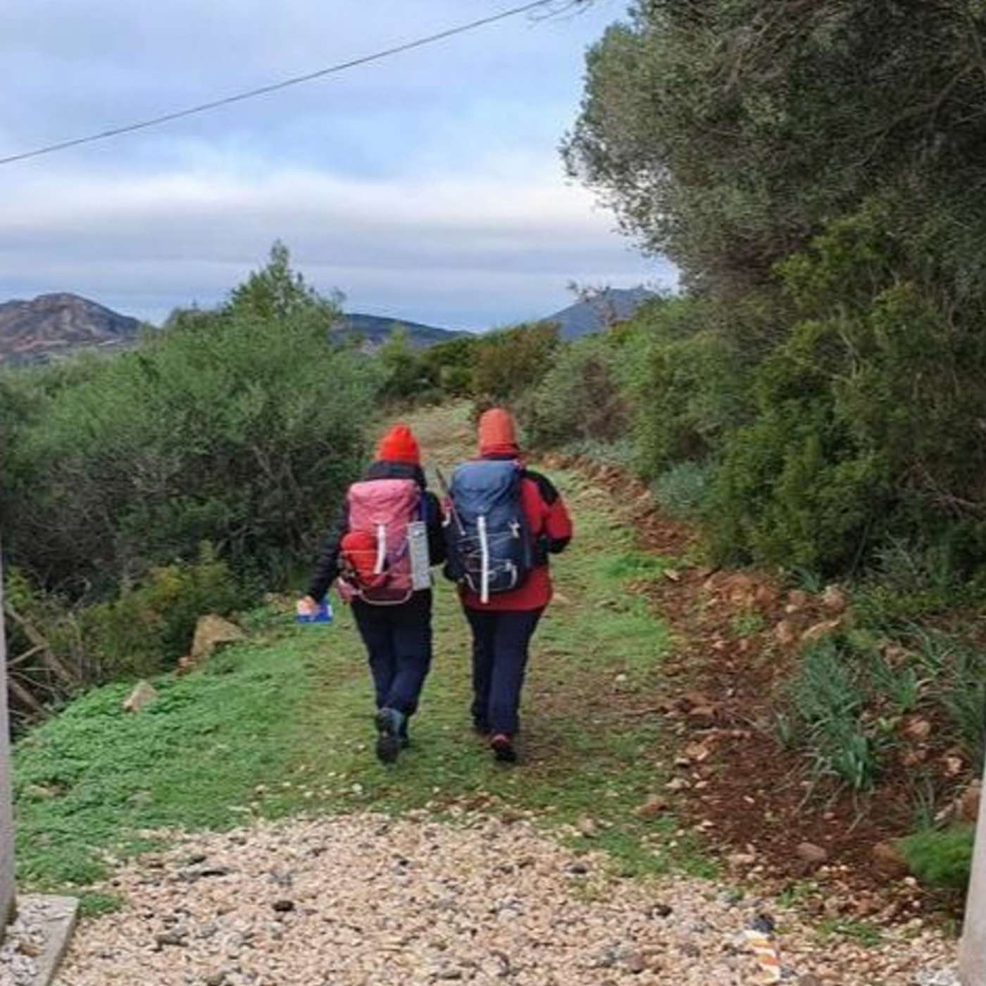 The smell of naphtha