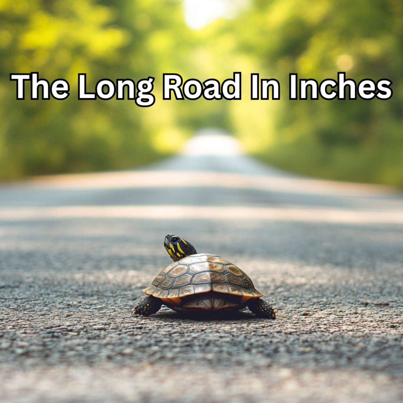 Day 215 - The Long Road In Inches episode artwork