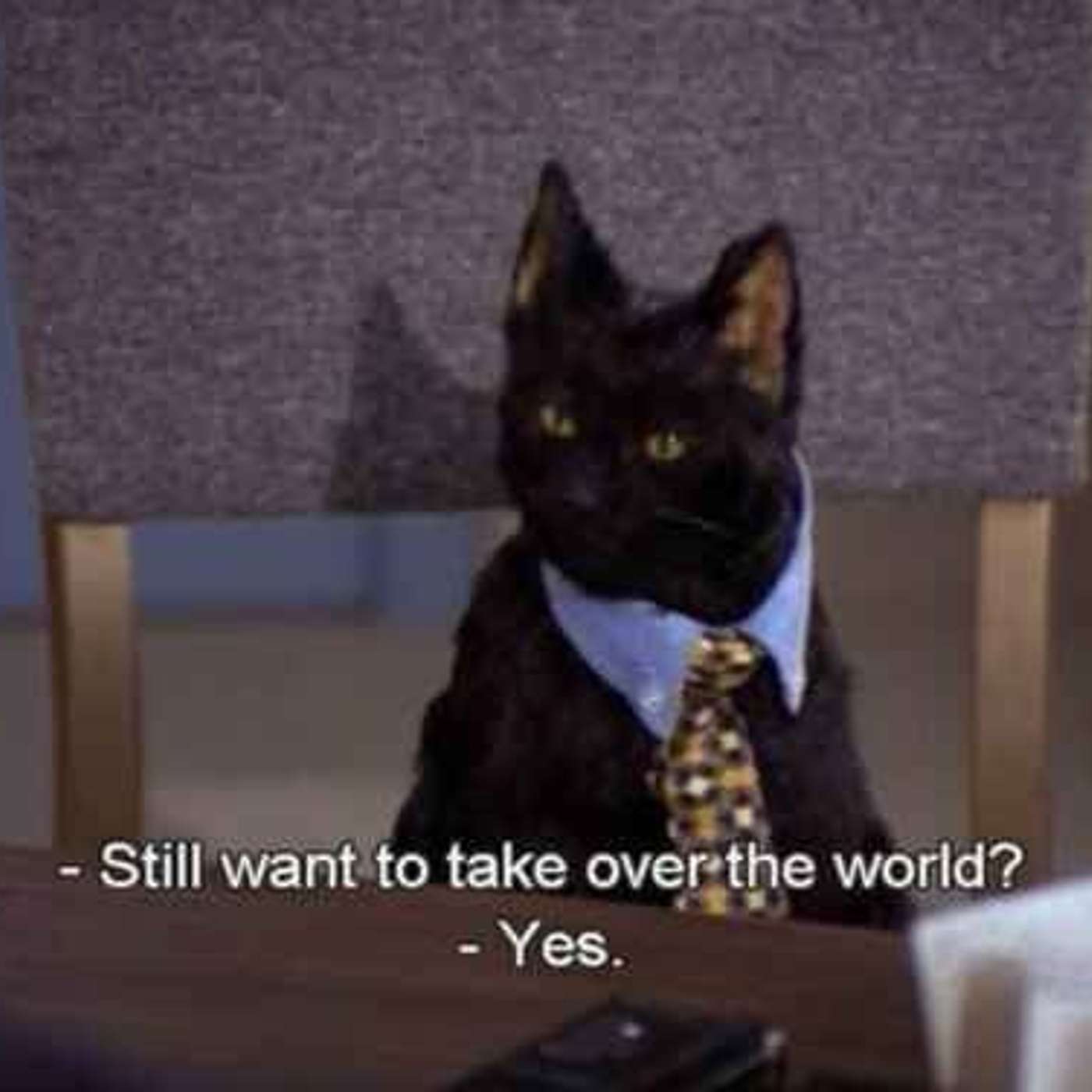 #227: Dance Like Everyone's Watching