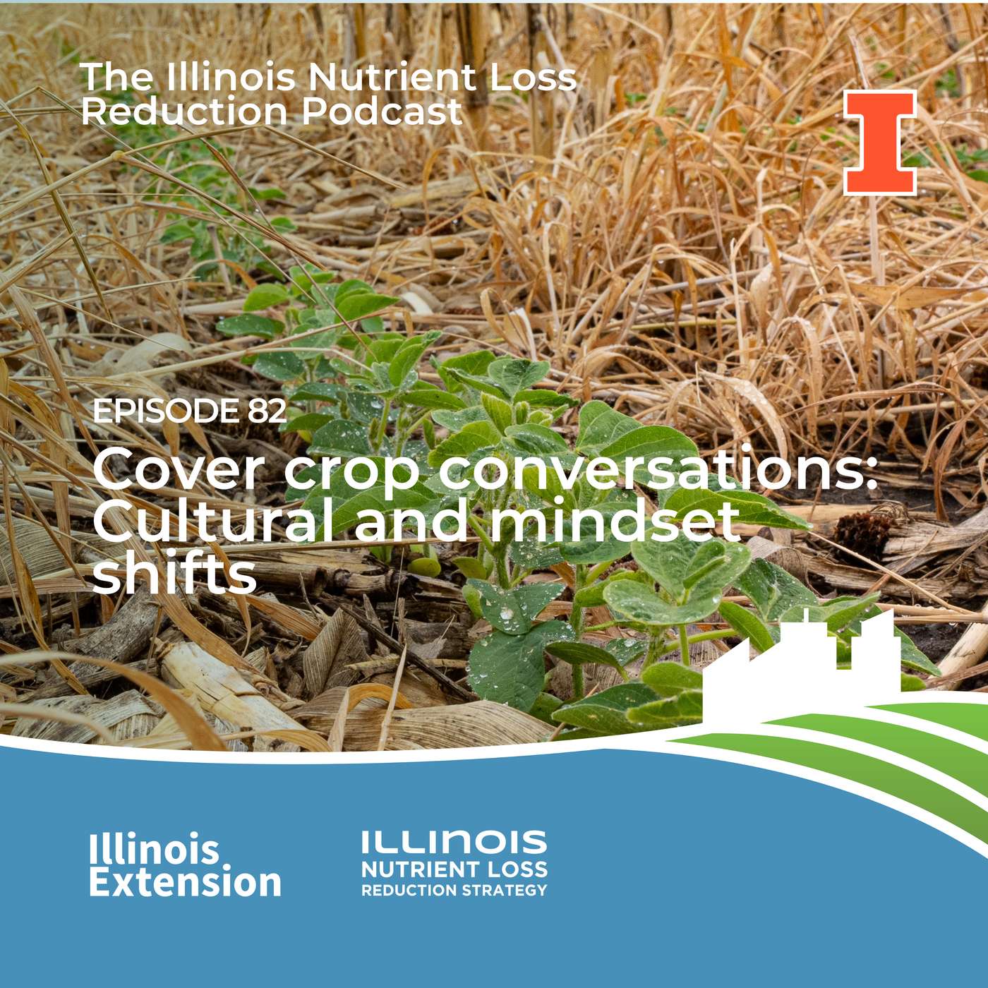 Episode 82 | Cover crop conversations: Cultural and mindset shifts episode artwork