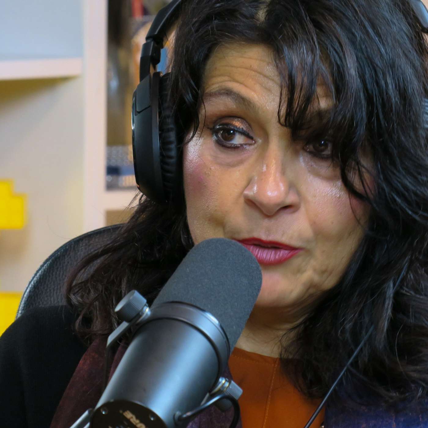 Kriza obrazovanja u Srbiji | prof. dr Iva Draškić Vićanović | Agelast 217