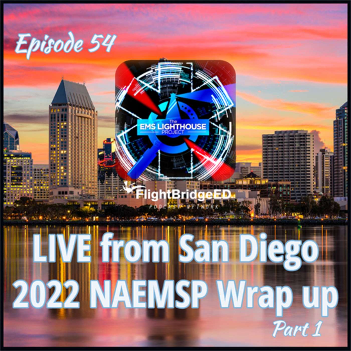 Episode 54 – NAEMSP Research Part I episode artwork