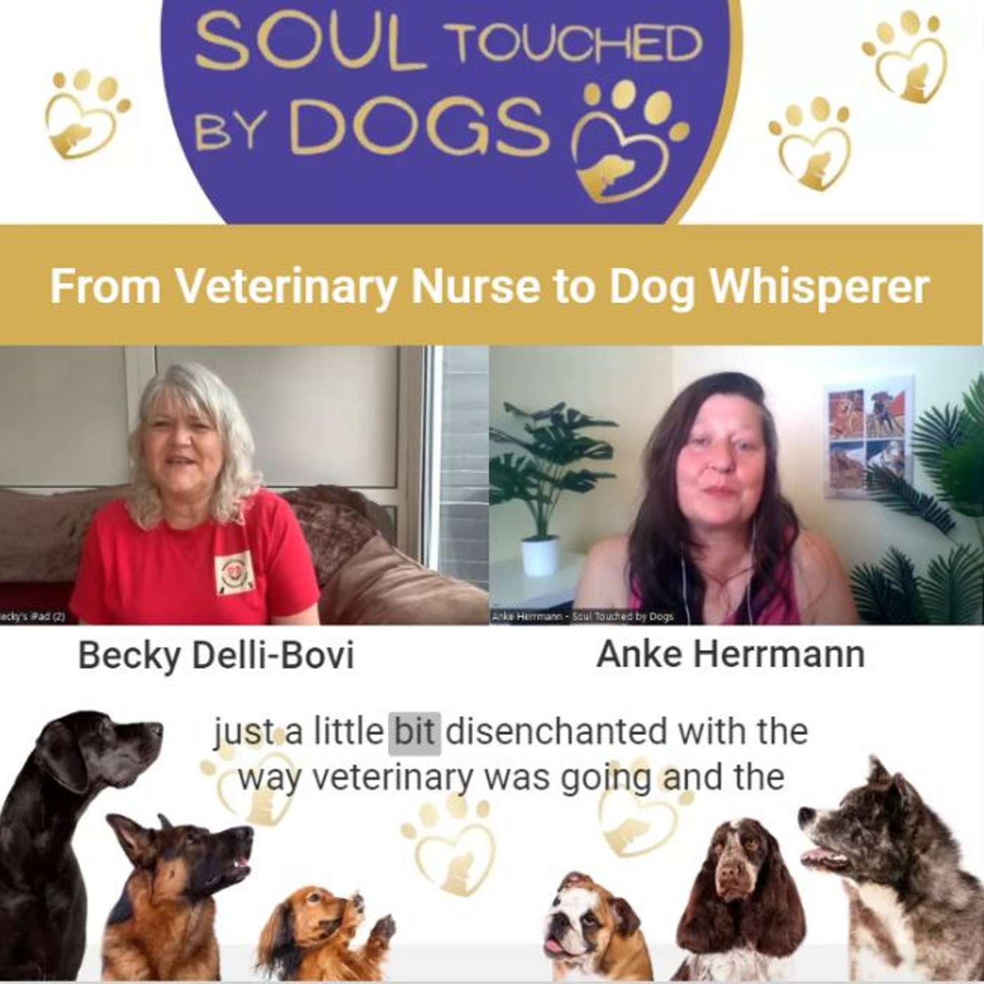 Becky Delli-Bovi - From Veterinary Nurse to Dog Whisperer