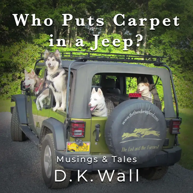 Who Puts Carpet in a Jeep?