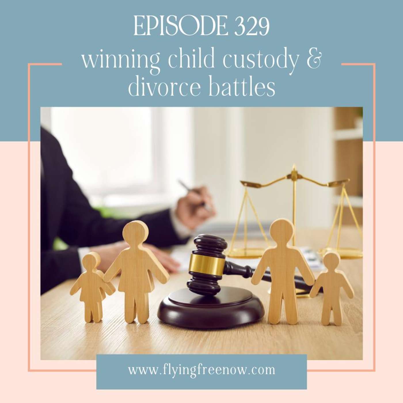 Winning Child Custody & Divorce Battles: Pro Strategies from a Top Attorney [329]
