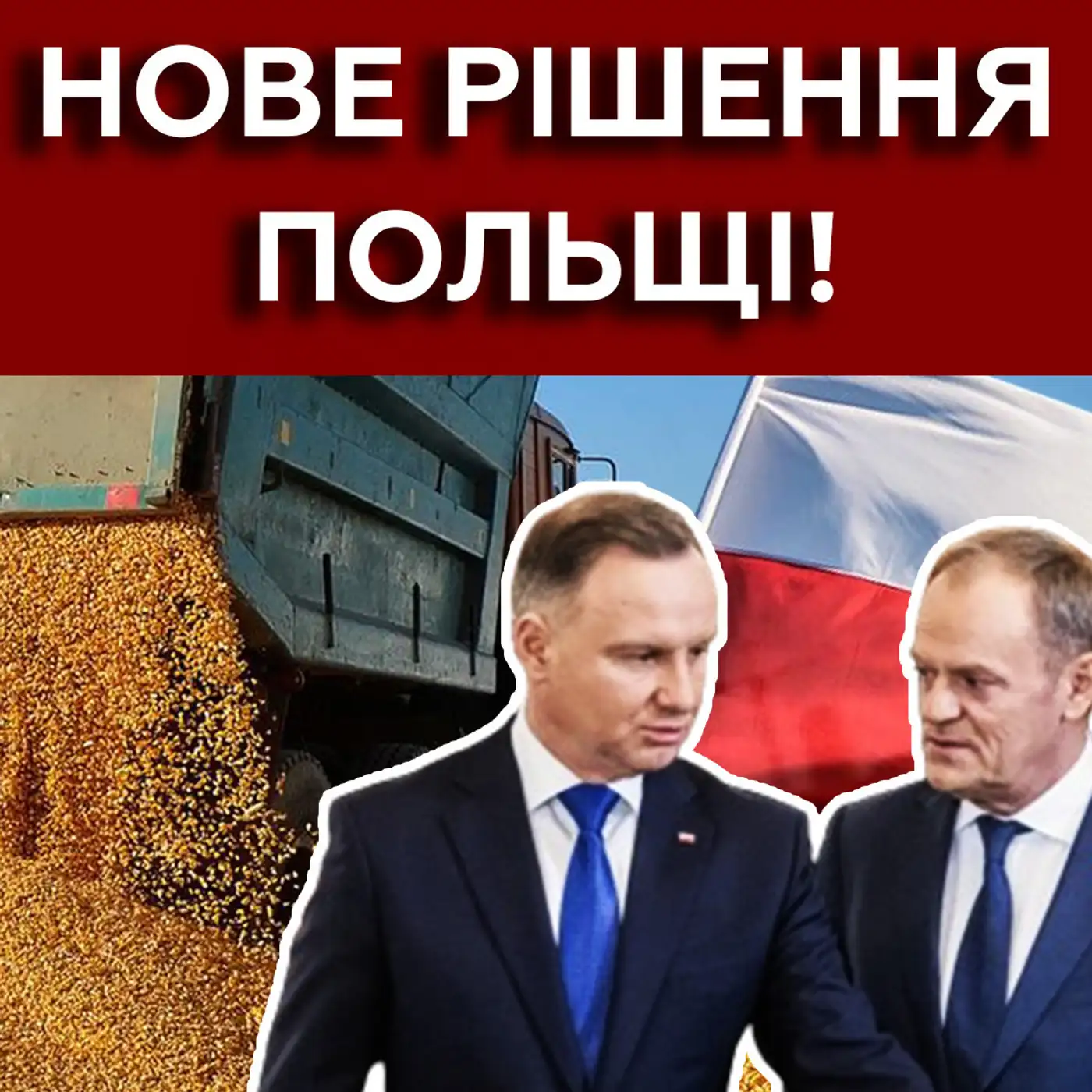 Зерно ПІД ЗАБОРОНОЮ❌ Польща свариться з ЄС, а Україна втрачає гроші?