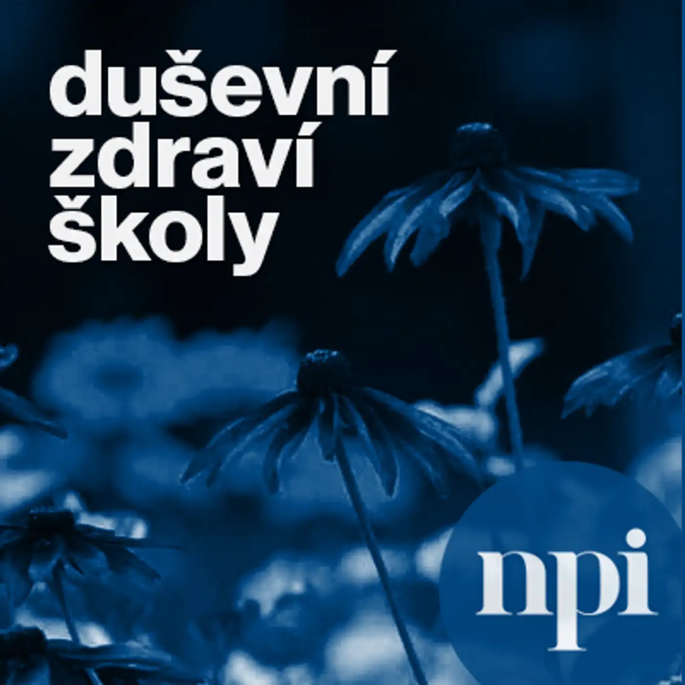 Psychologická podpora pro ředitele 2 - díl I - Stress management