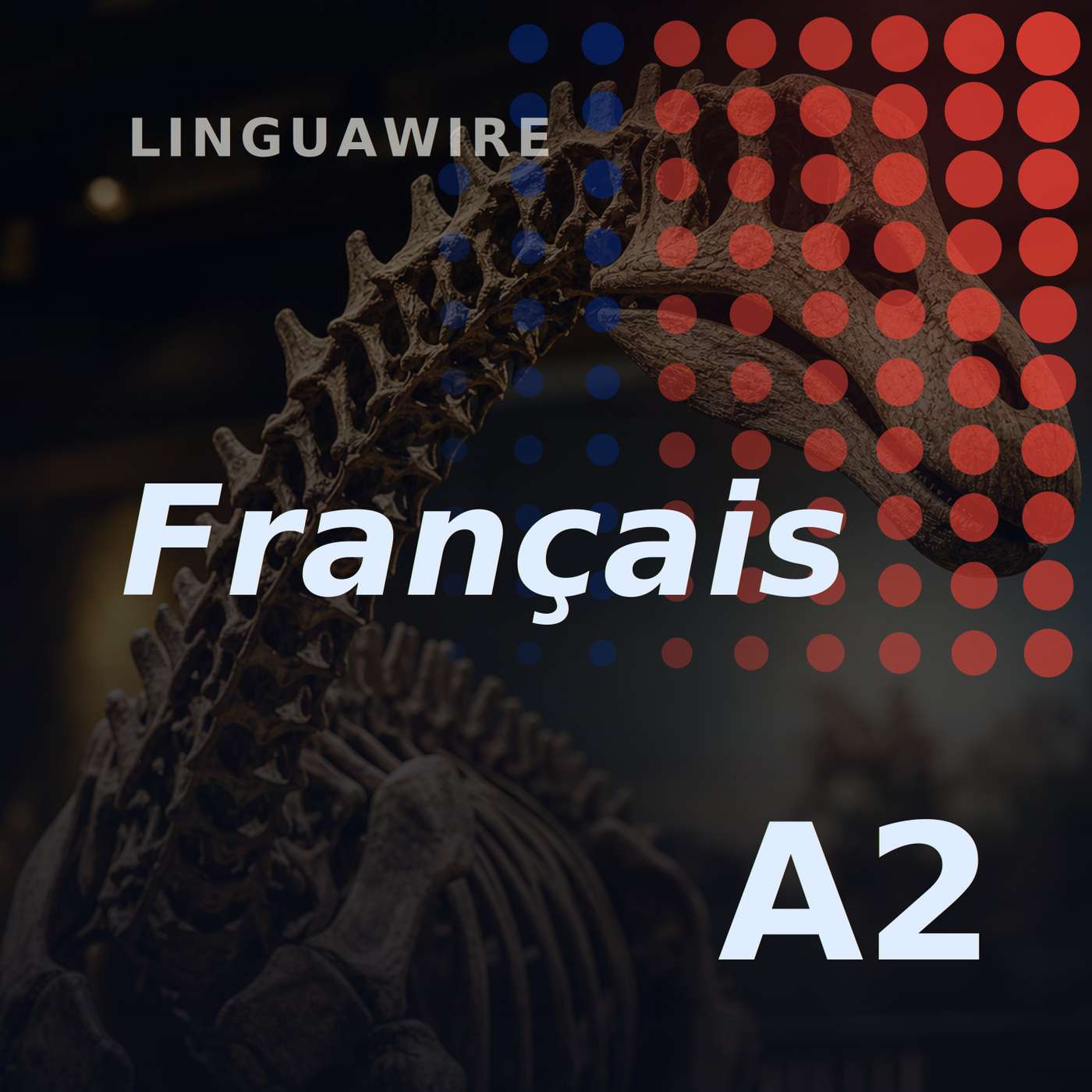 A2 French News | A 20m Dinosaur Found in Thailand