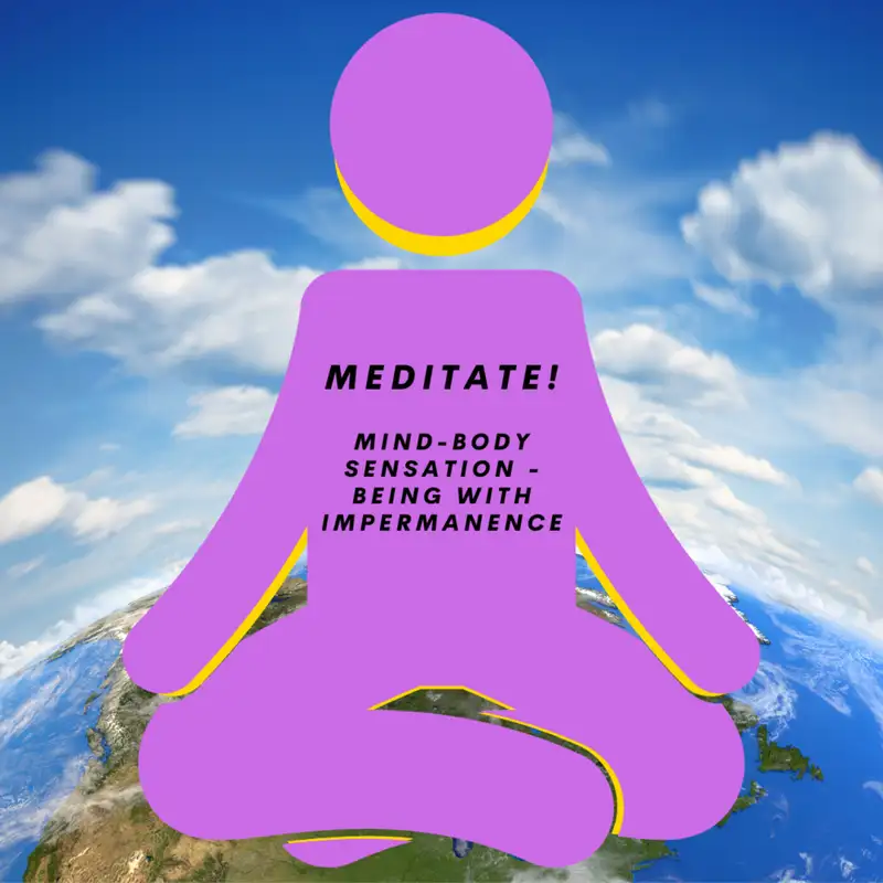 MEDITATION: Mind-Body Sensation - Being with Impermanence (13min)