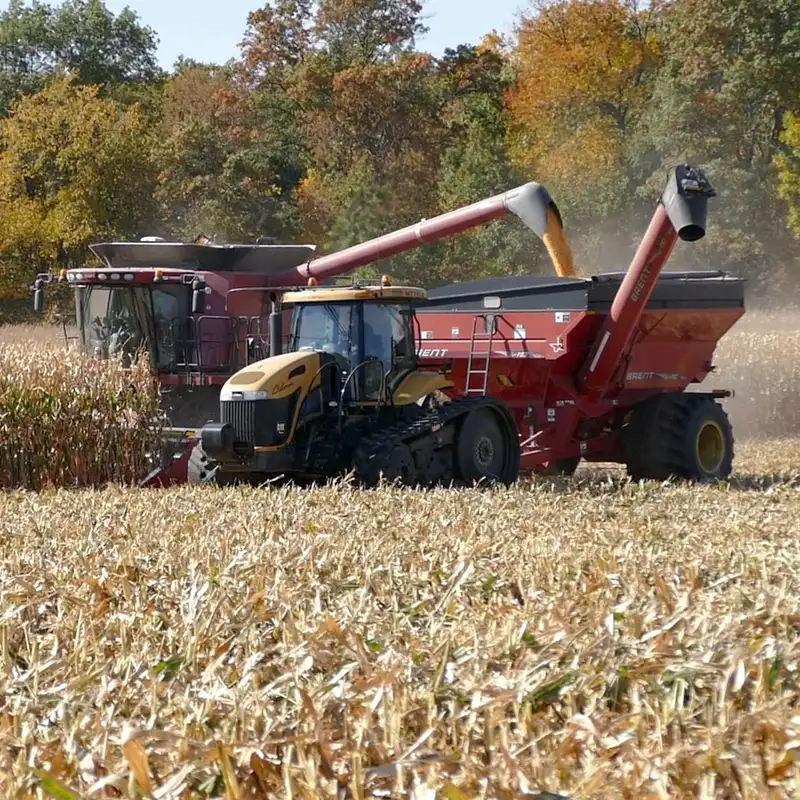 Fall fertilizer outlook for 2024: Current conditions, soil testing, and farmer finances