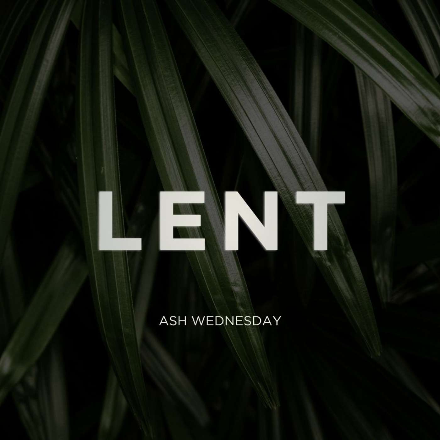 26.02.18 - Ash Wednesday episode artwork