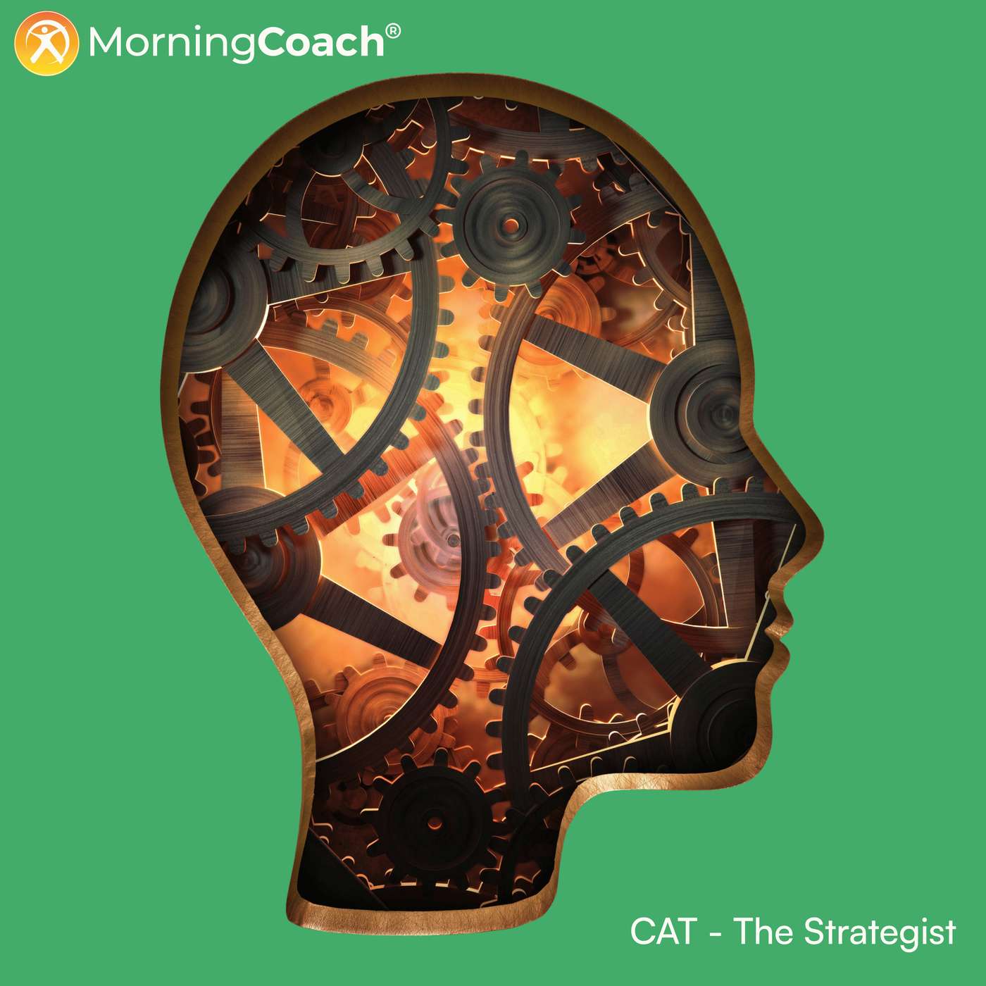 Spectrum of Thought: The Strategist