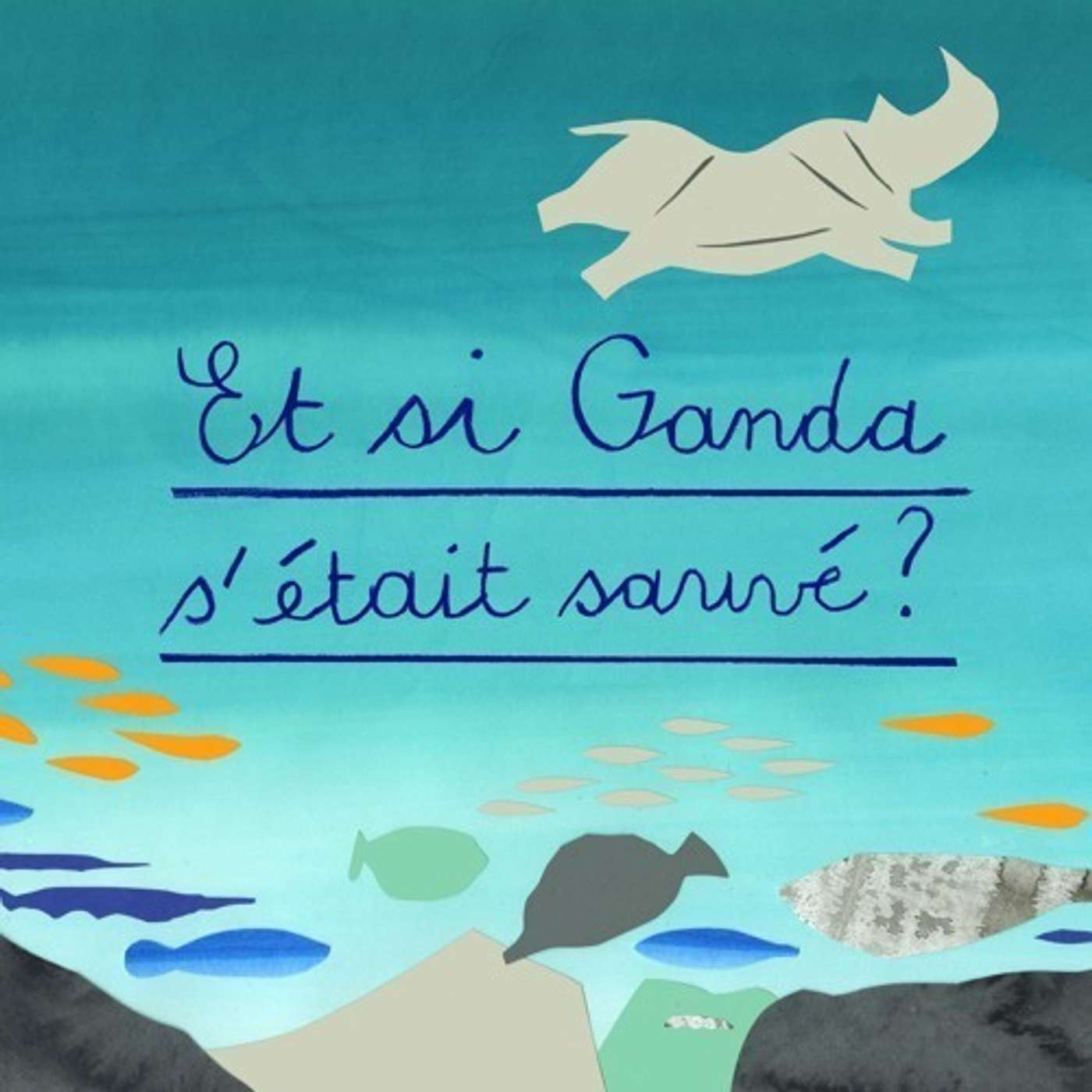 Radio Têtards - Radio Grenouille