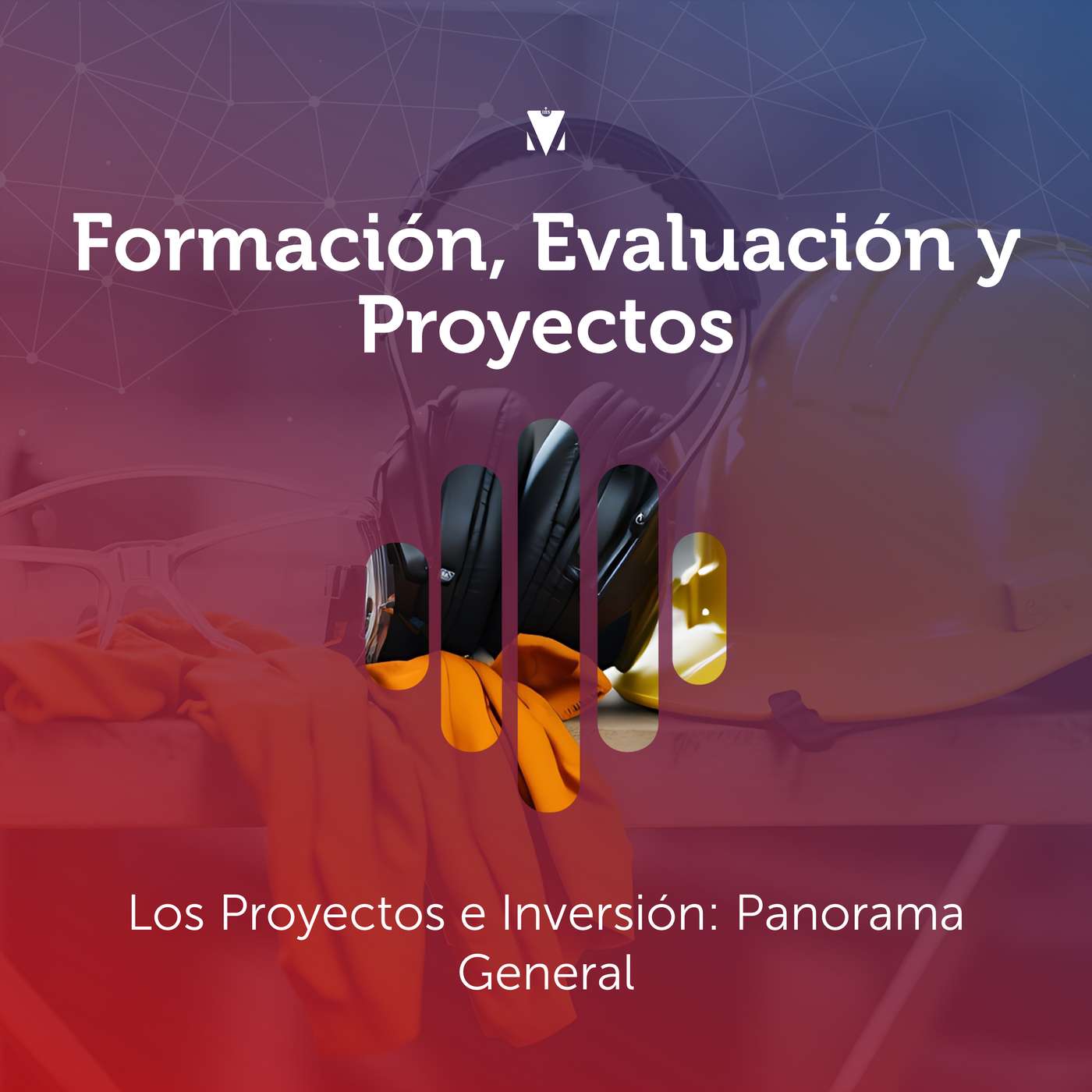 1 - FORMACIÓN, EVALUACIÓN Y PROYECTOS: Los Proyectos e Inversión - Panorama General episode artwork