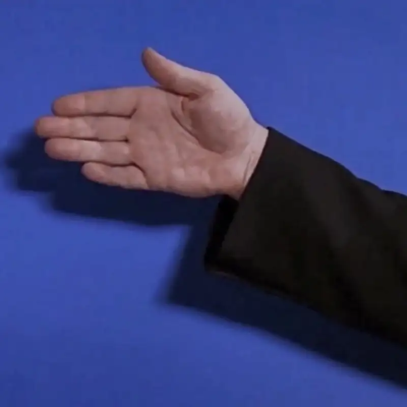 people are not here for the weather