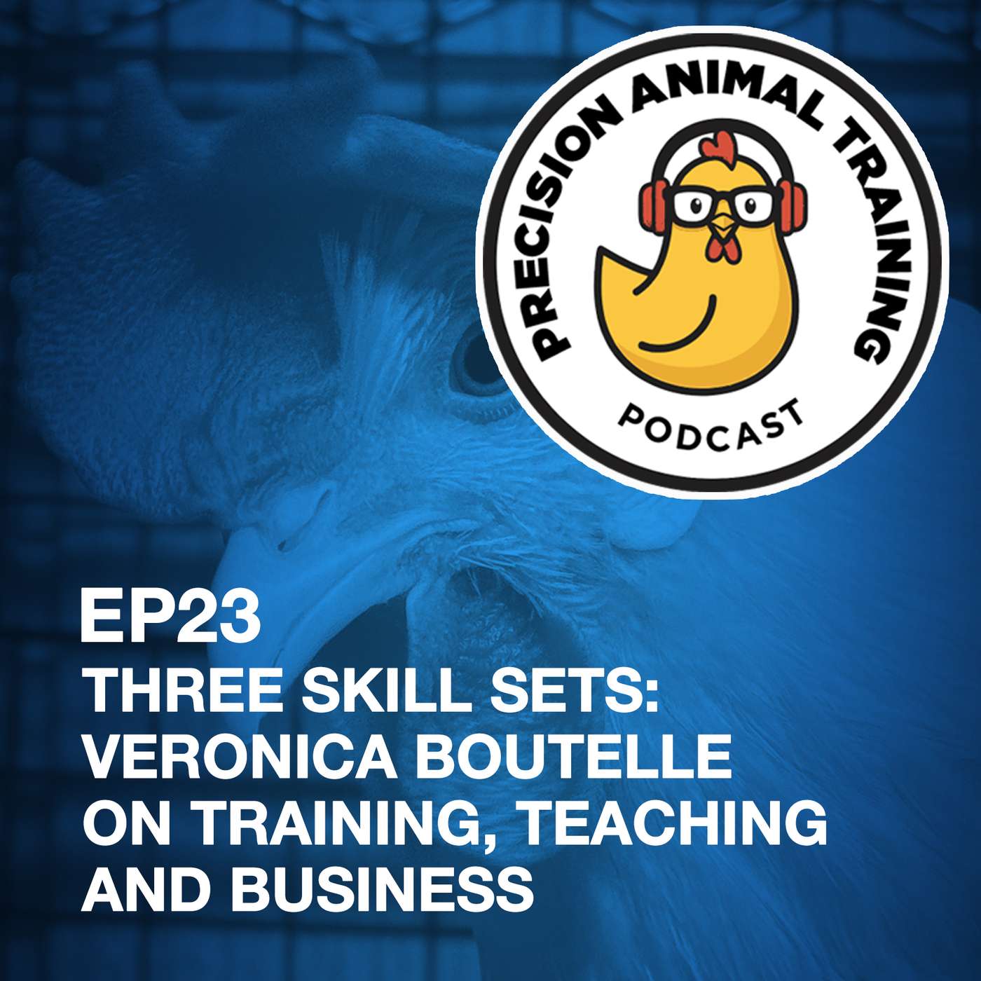 Three Skill Sets: Veronica Boutelle on Training, Teaching and Business