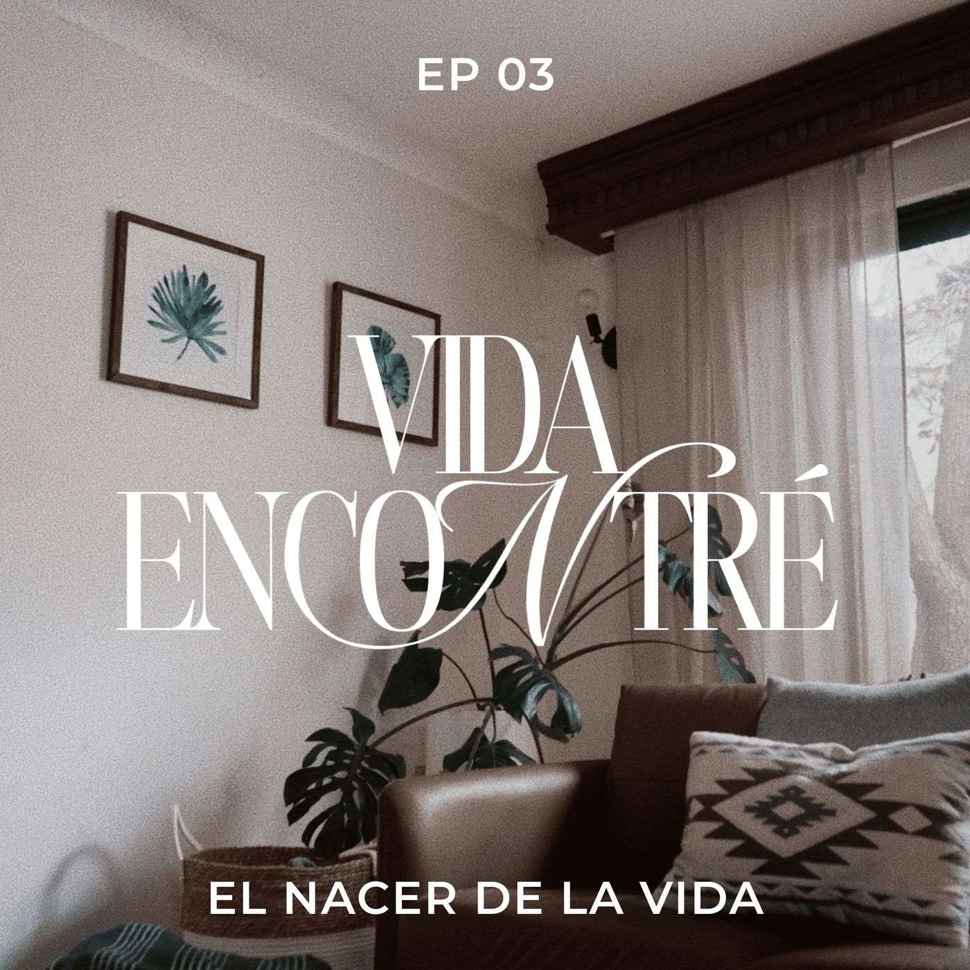 Ep.3 El nacer de la Vida - Majo y Dan - Vida Encontré podcast episode artwork