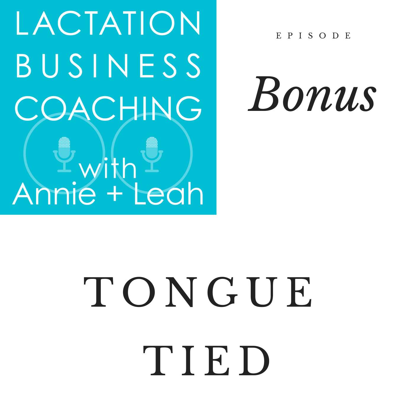 Lactation Business Coaching with Annie and Leah
