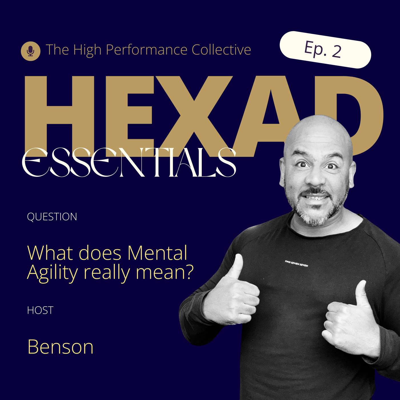 e. What does Mental Agility mean? episode artwork