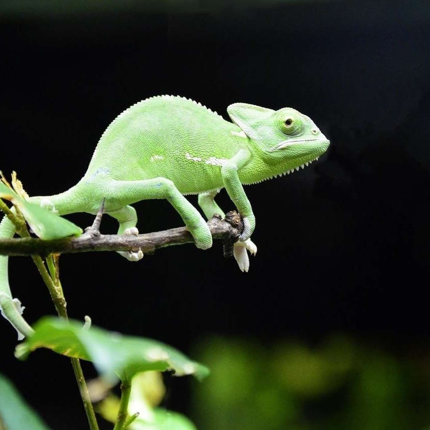 Nature and Science 4 Kids