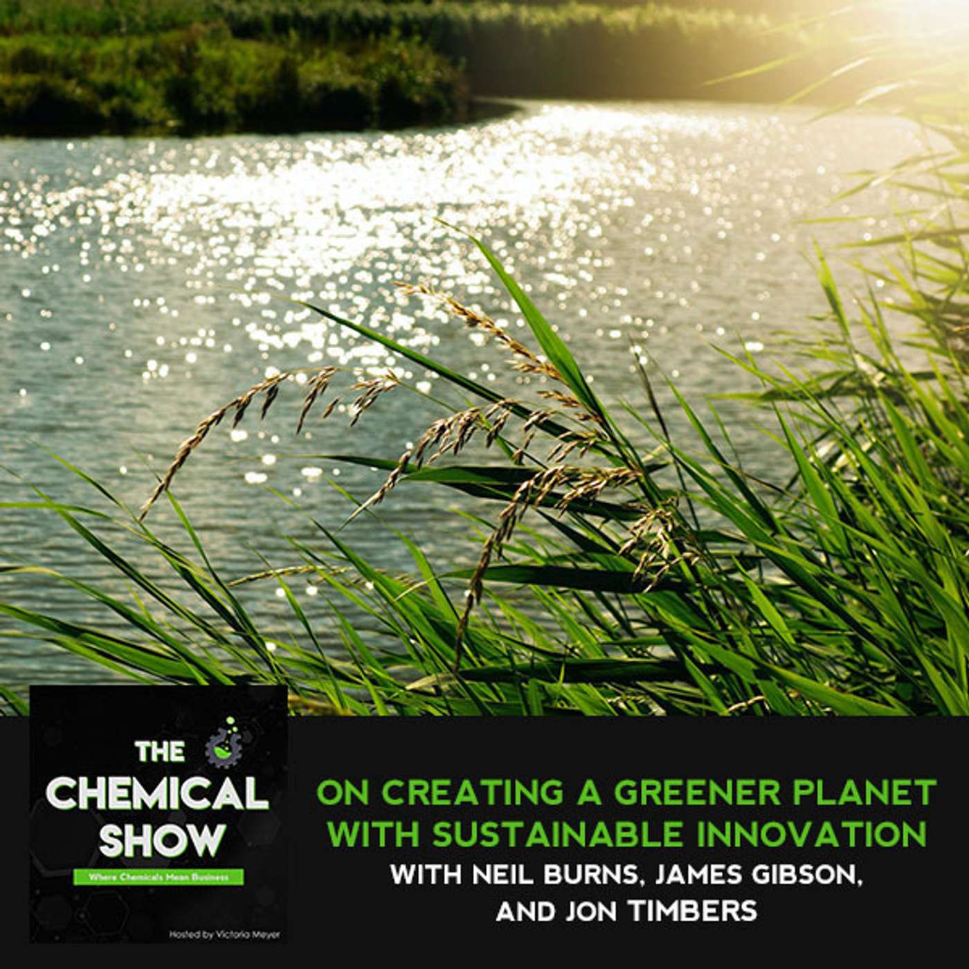 The Chemical Show: Where Leaders Talk Business