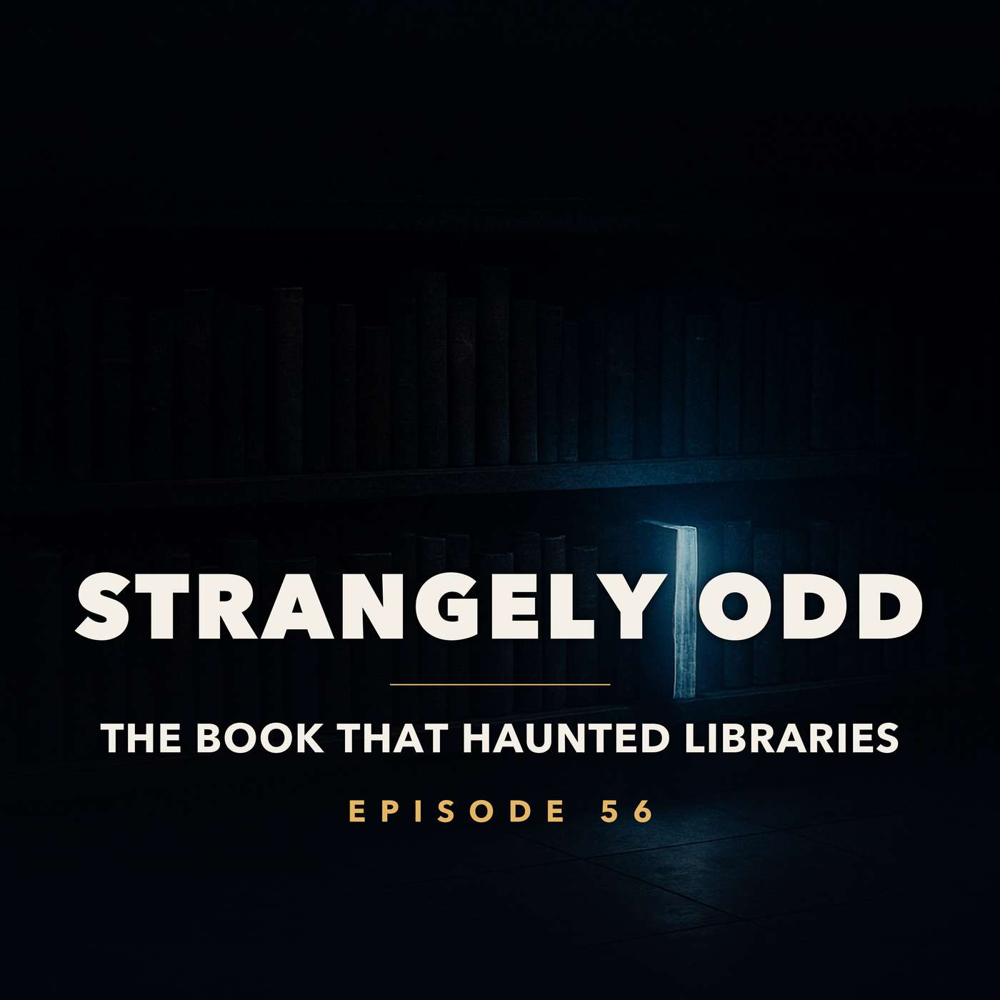 The Book That Haunted Libraries episode artwork